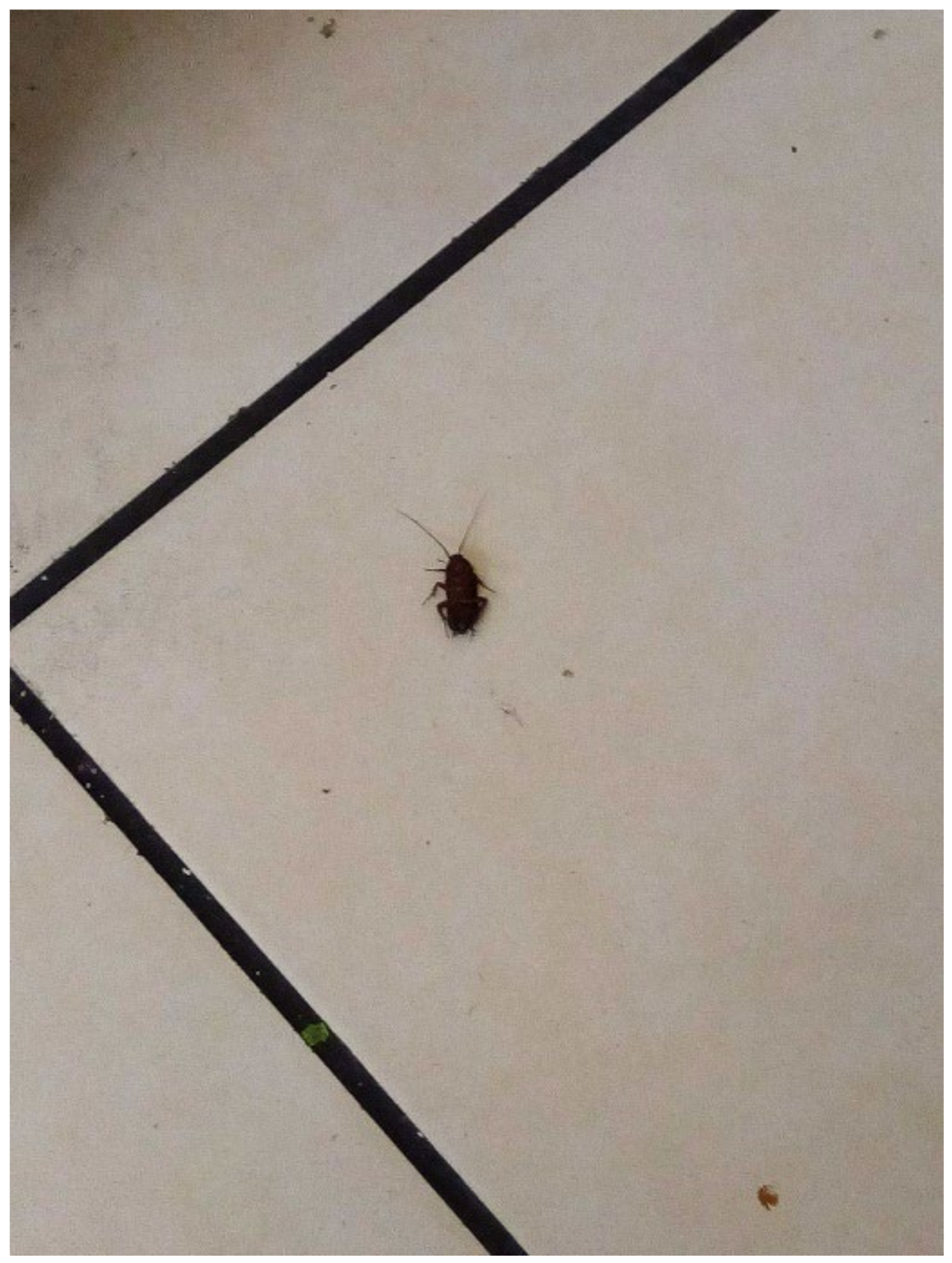 Ijerph 19 03976 g010 550