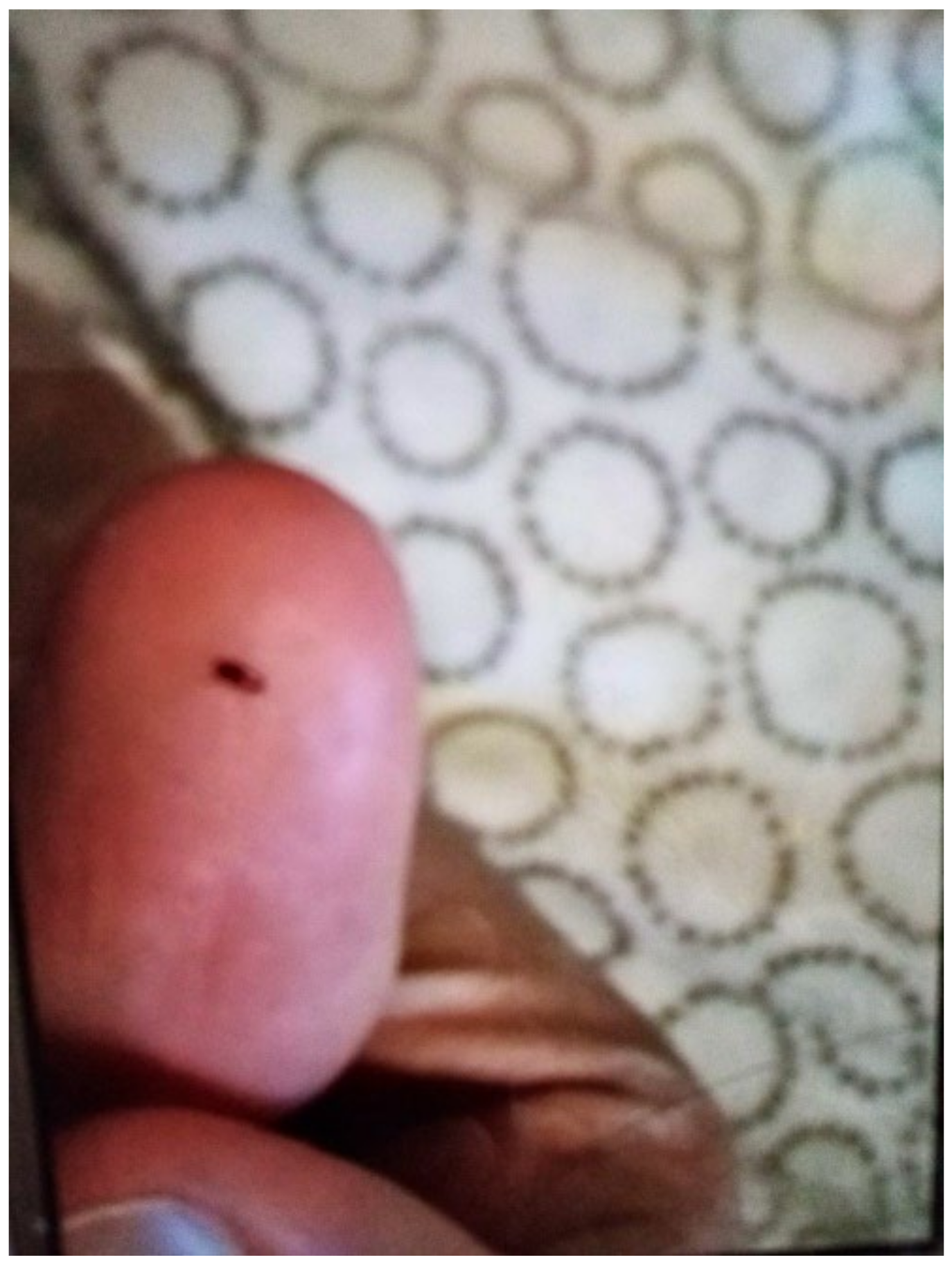 Ijerph 19 03976 g011 550