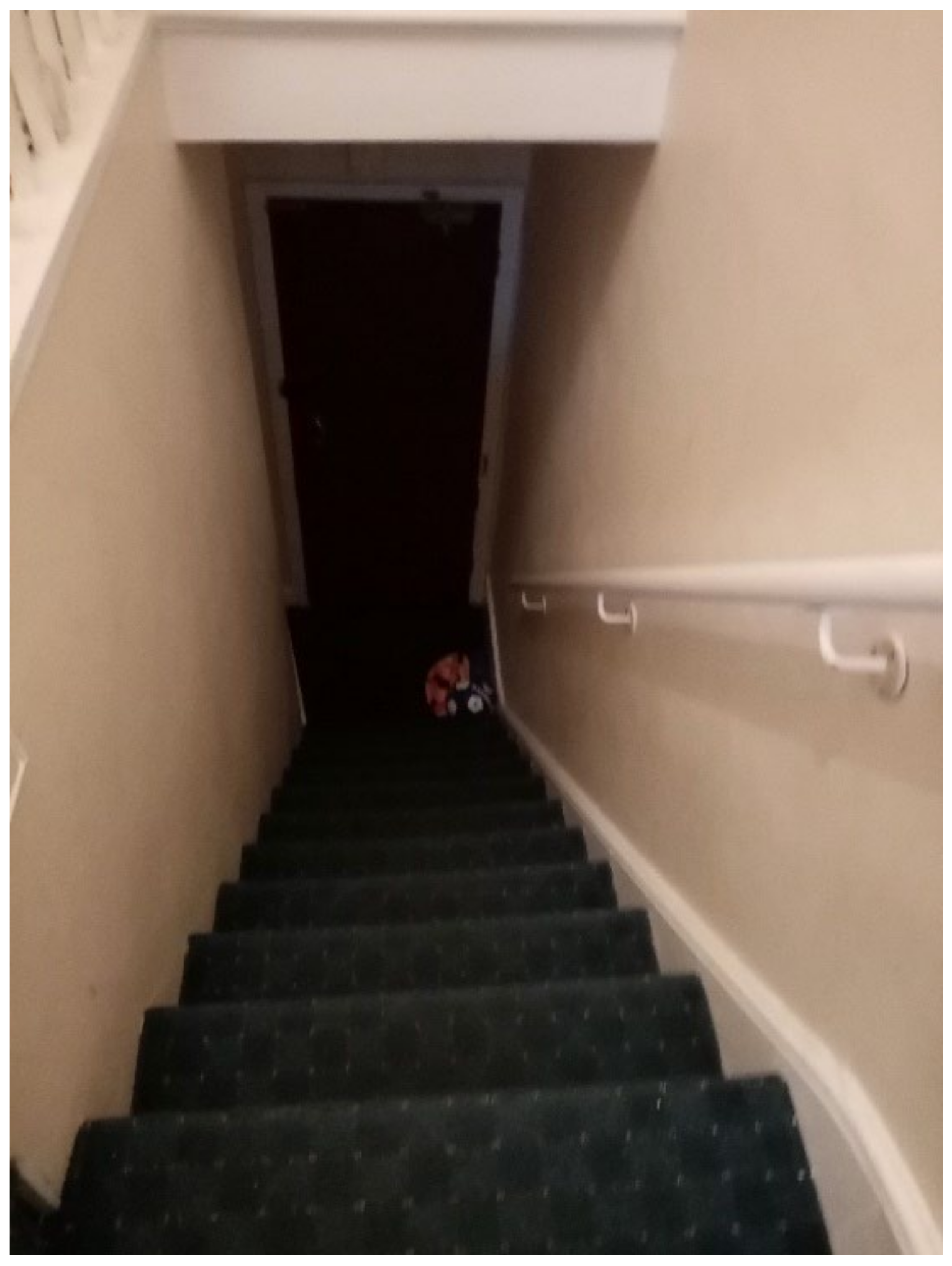 Ijerph 19 03976 g027 550