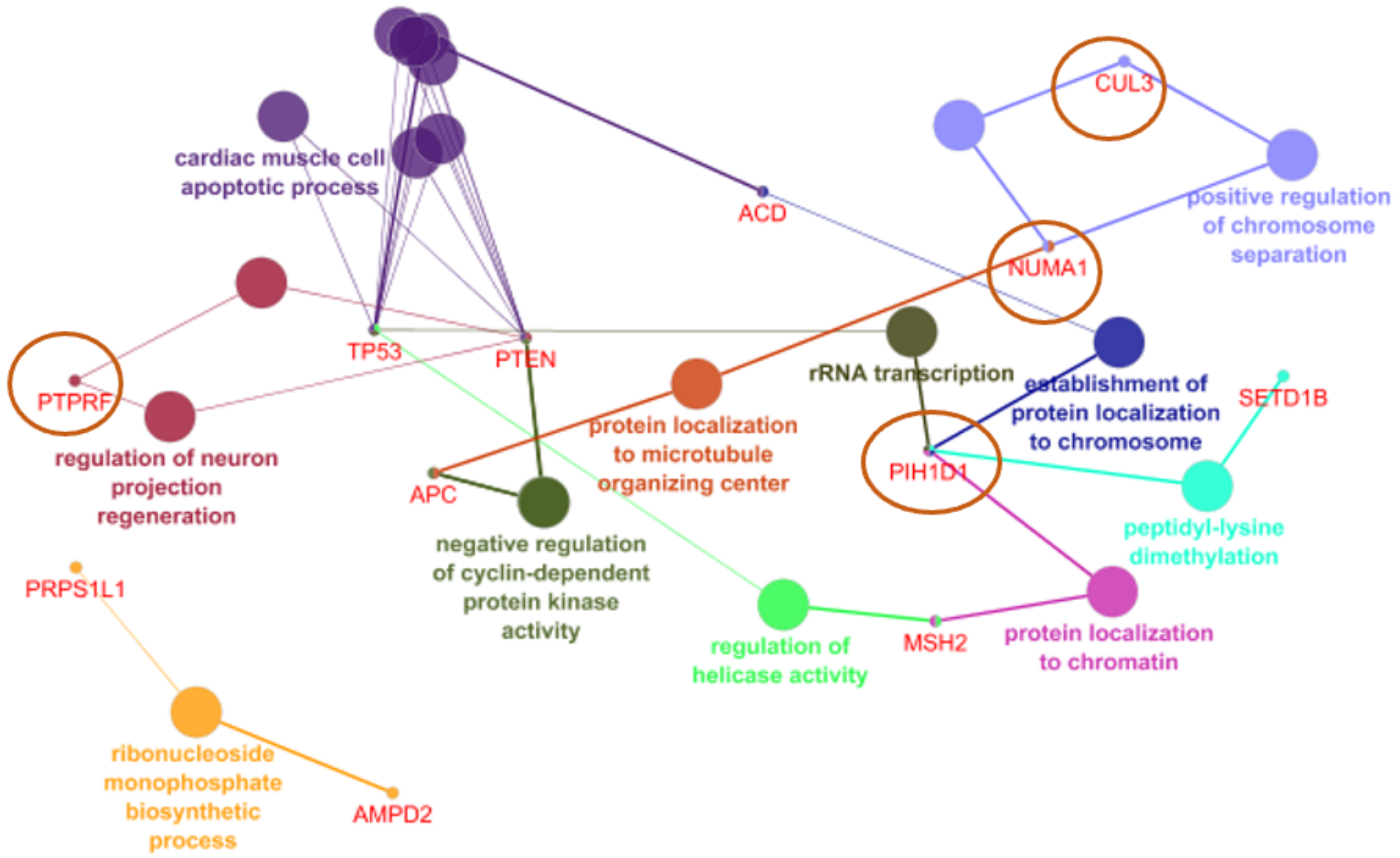Ijerph 19 04008 g002 550