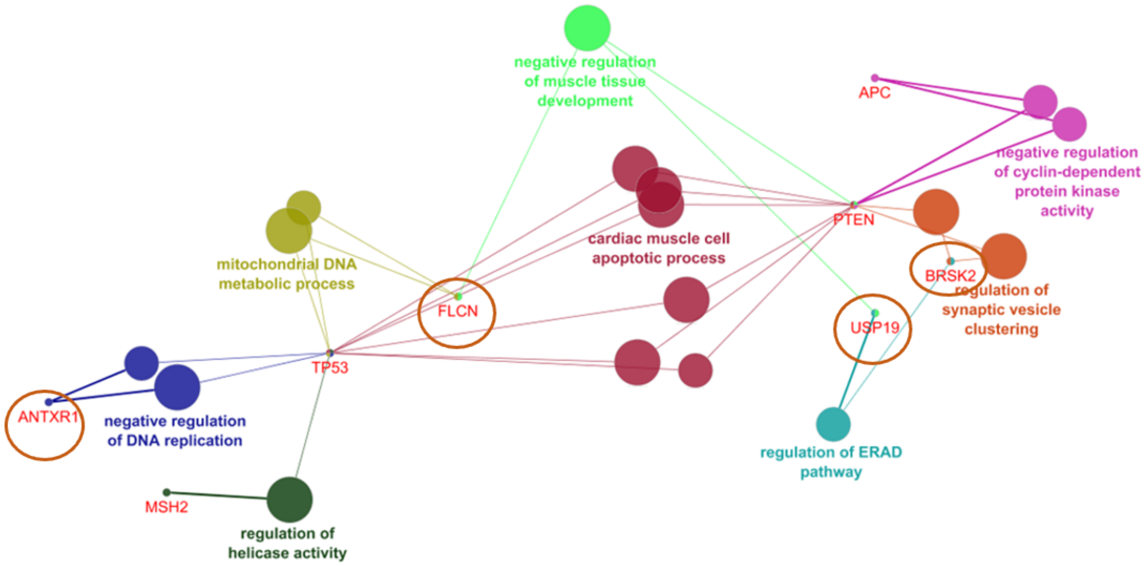 Ijerph 19 04008 g004 550