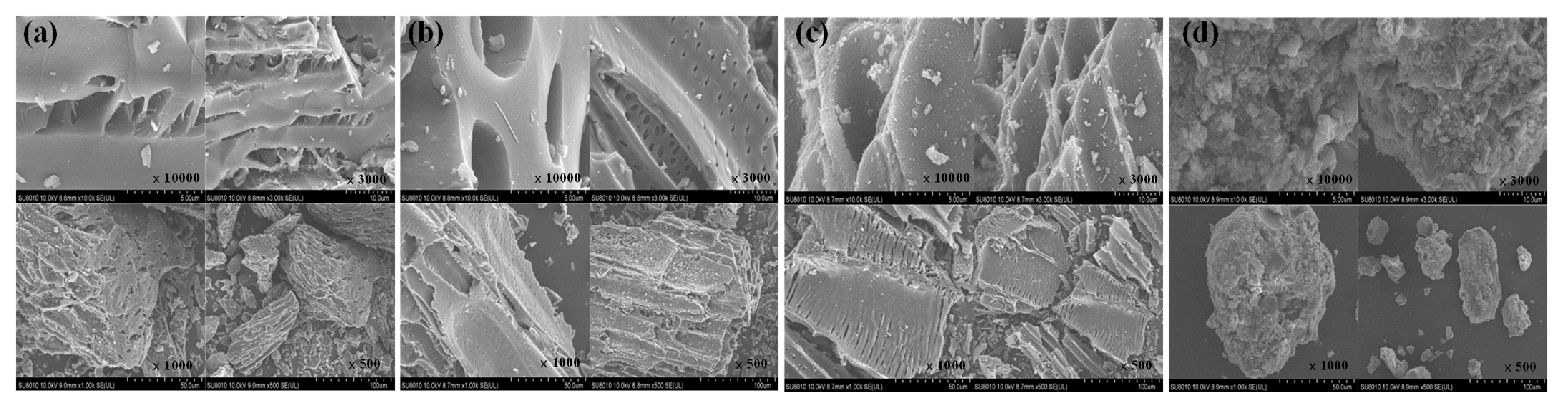 Ijerph 19 04016 g001 550