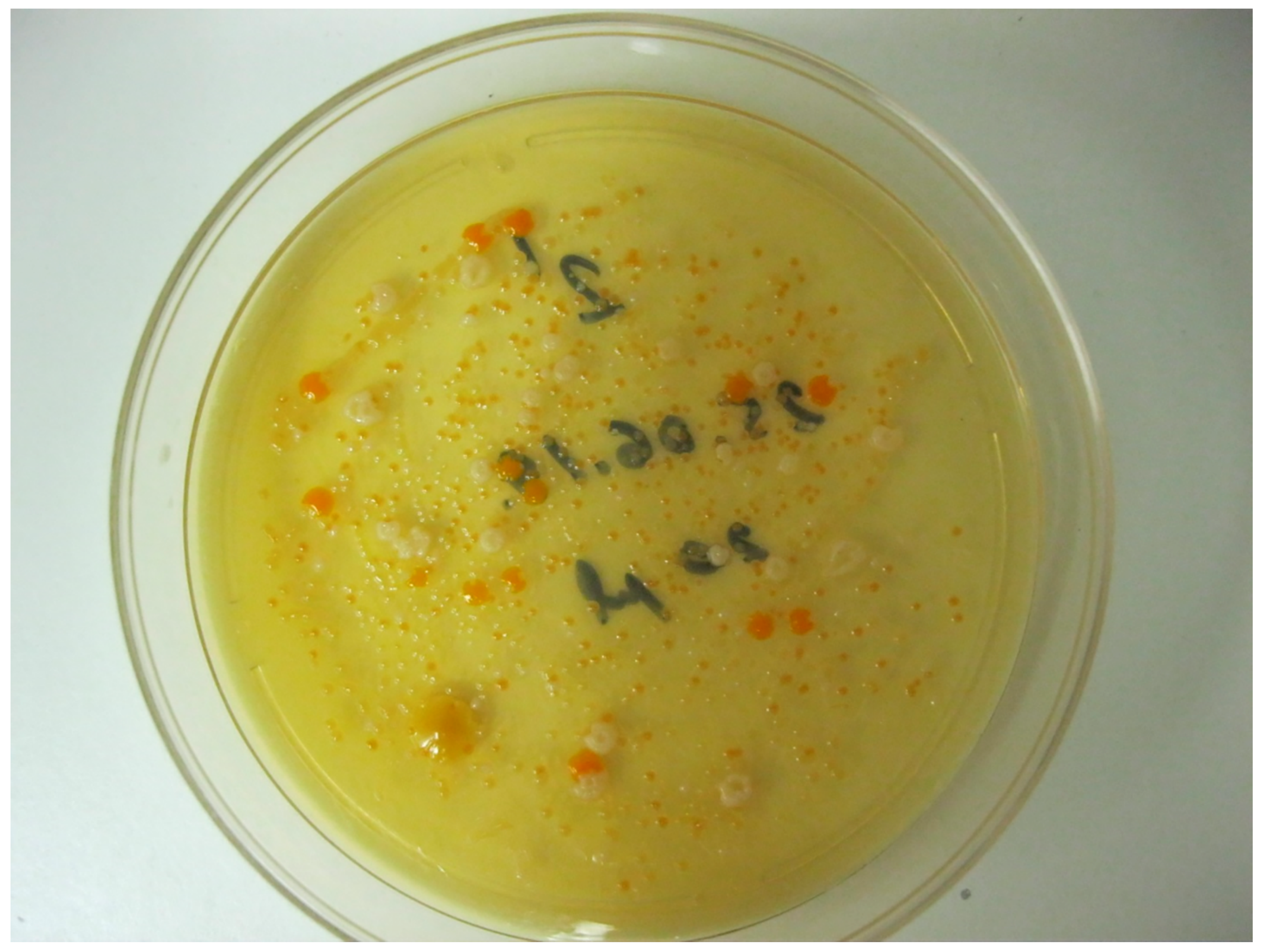 Ijerph 19 04025 g002