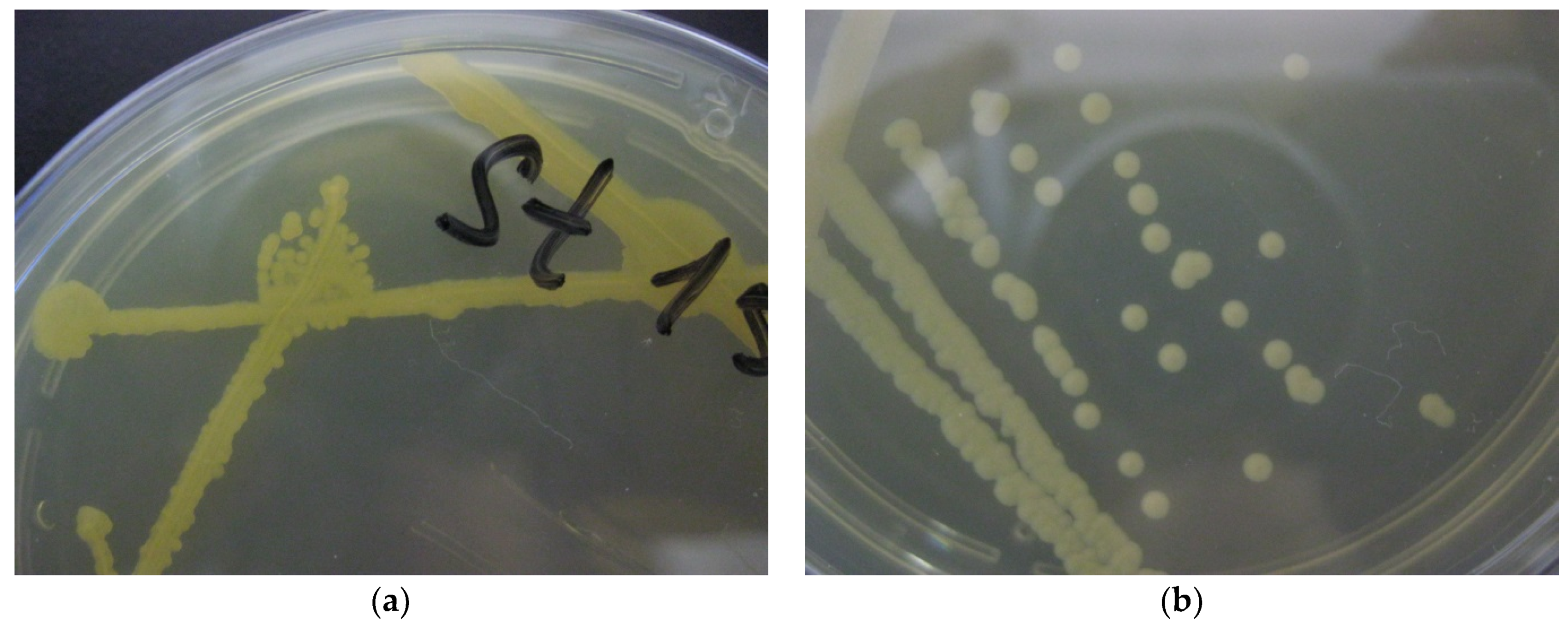 Ijerph 19 04025 g003