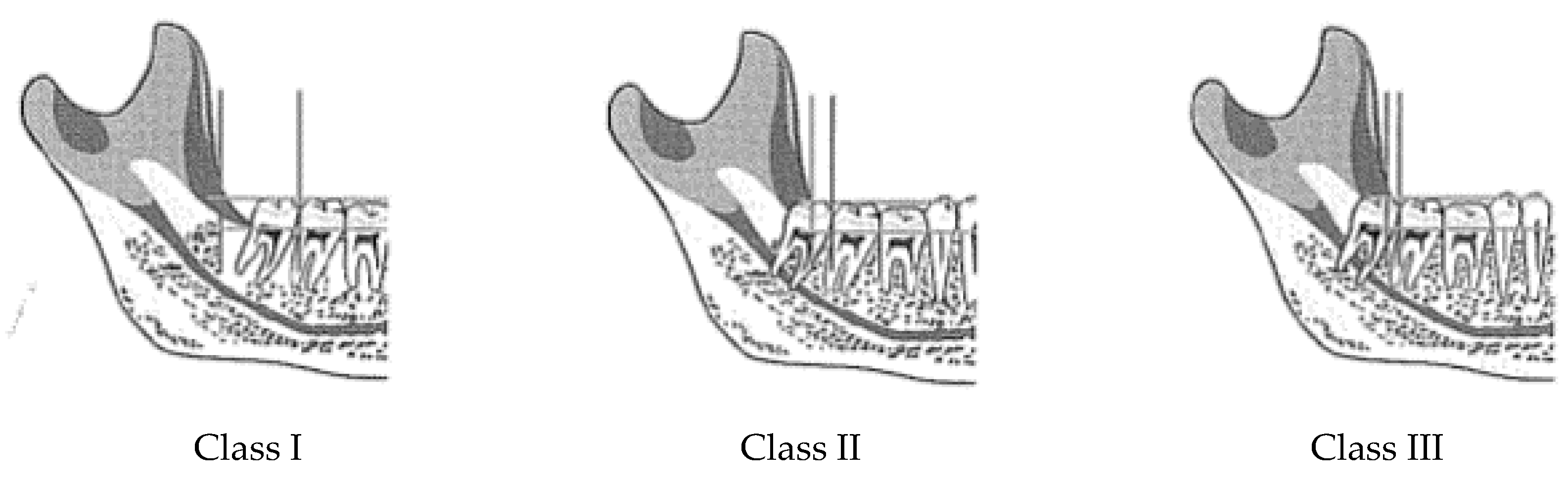 Ijerph 19 04028 g001 550