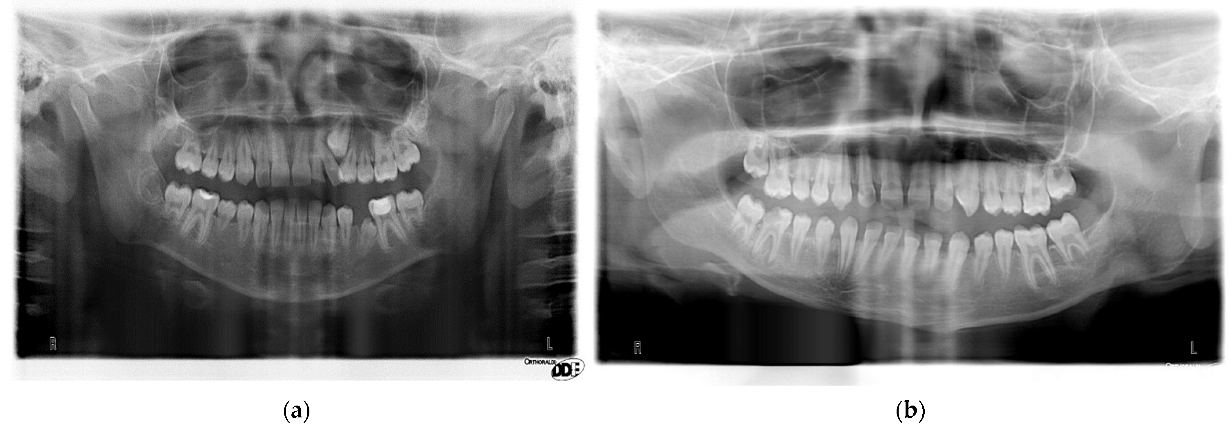 Ijerph 19 04045 g002