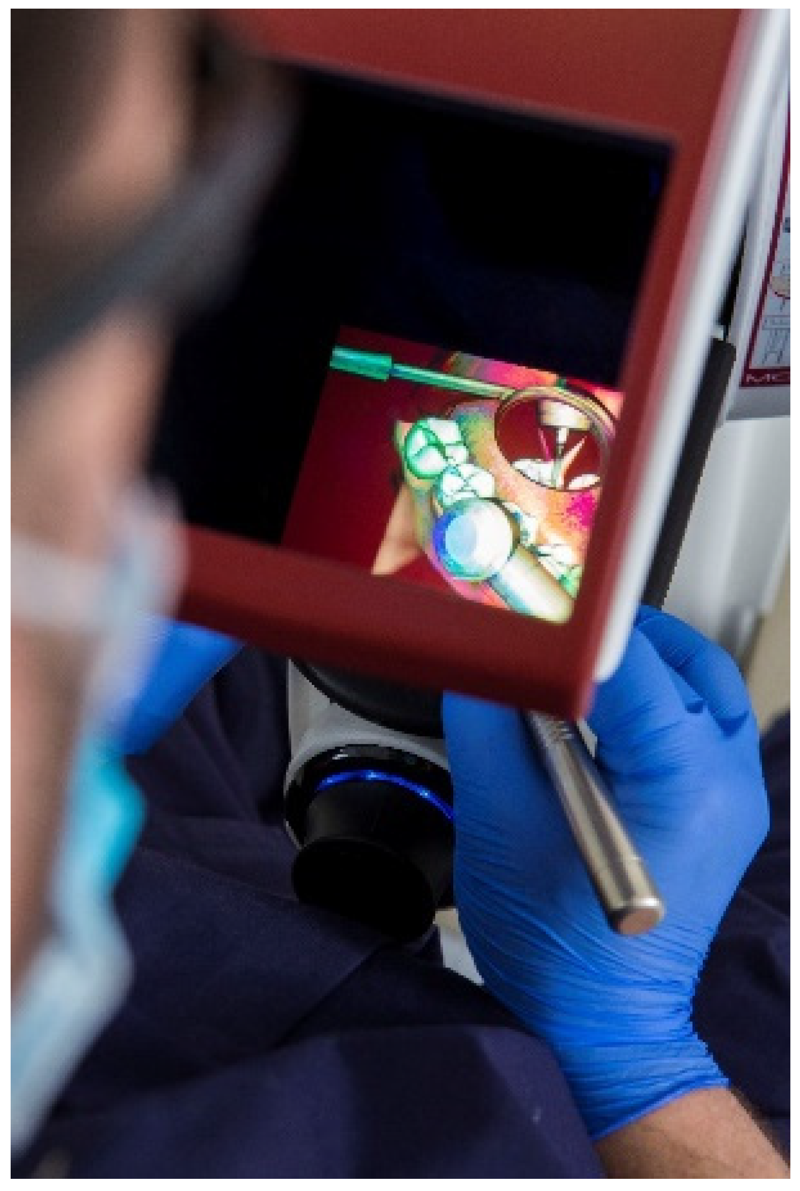 Ijerph 19 04081 g001 550