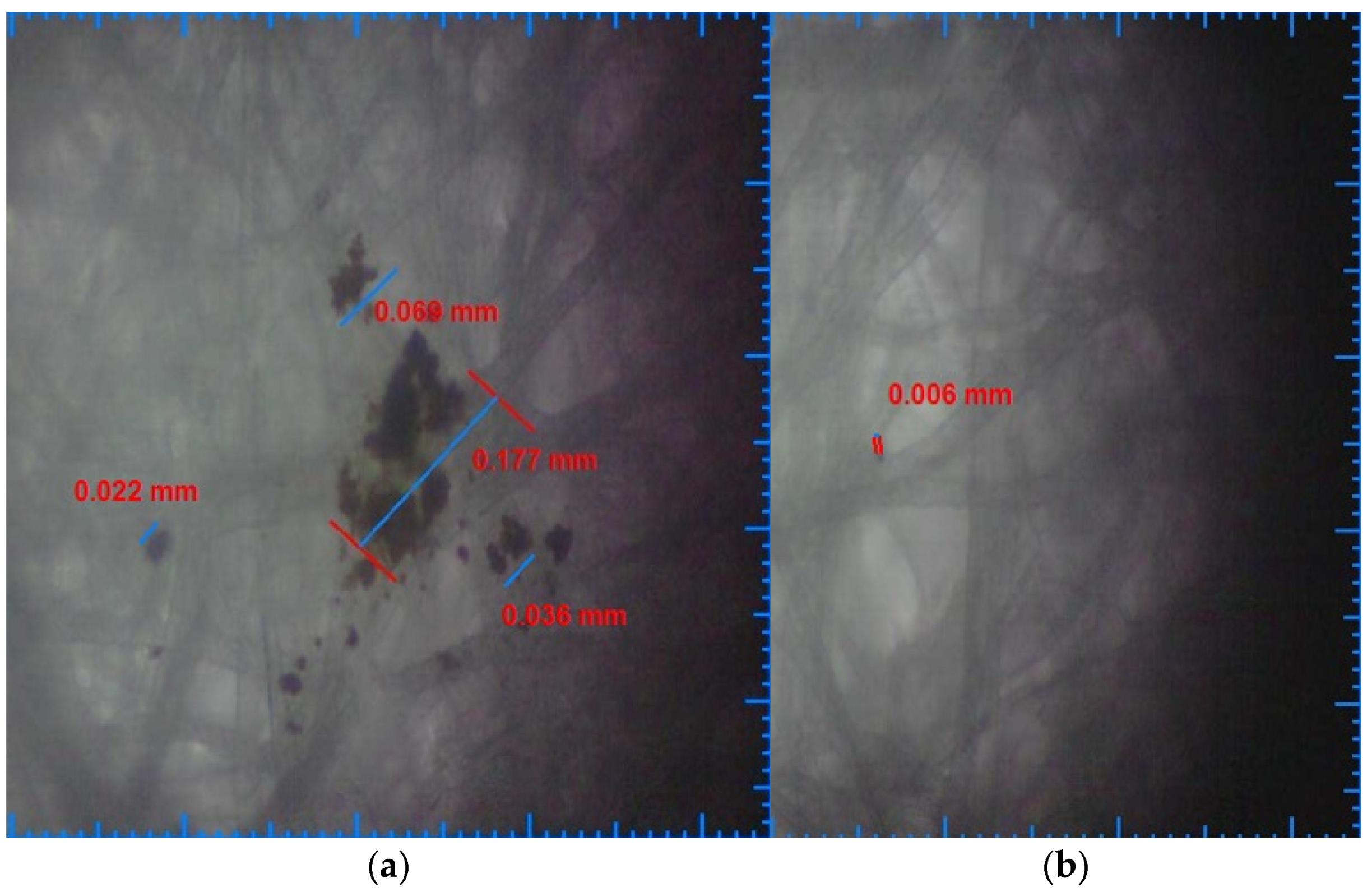 Ijerph 19 04085 g004 550