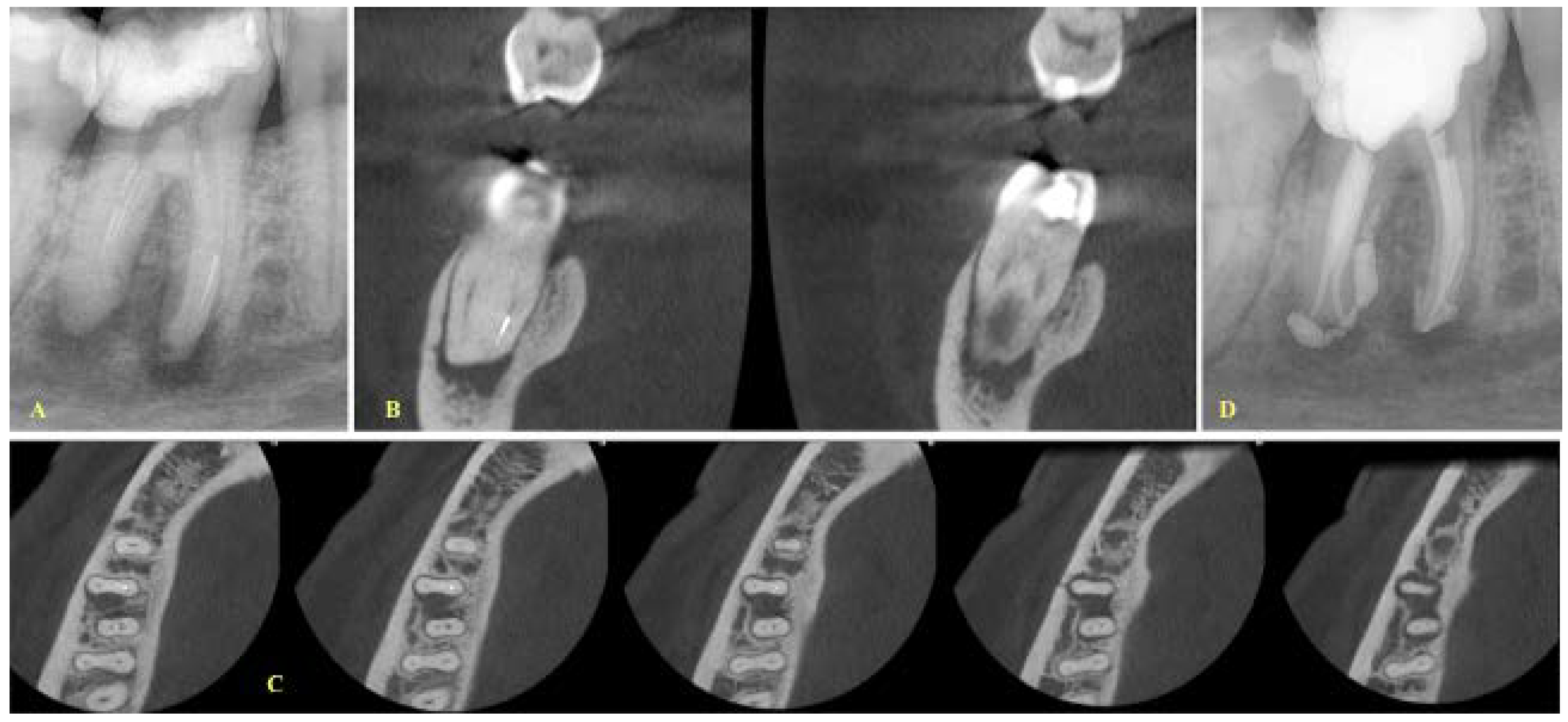 Ijerph 19 04088 g001 550