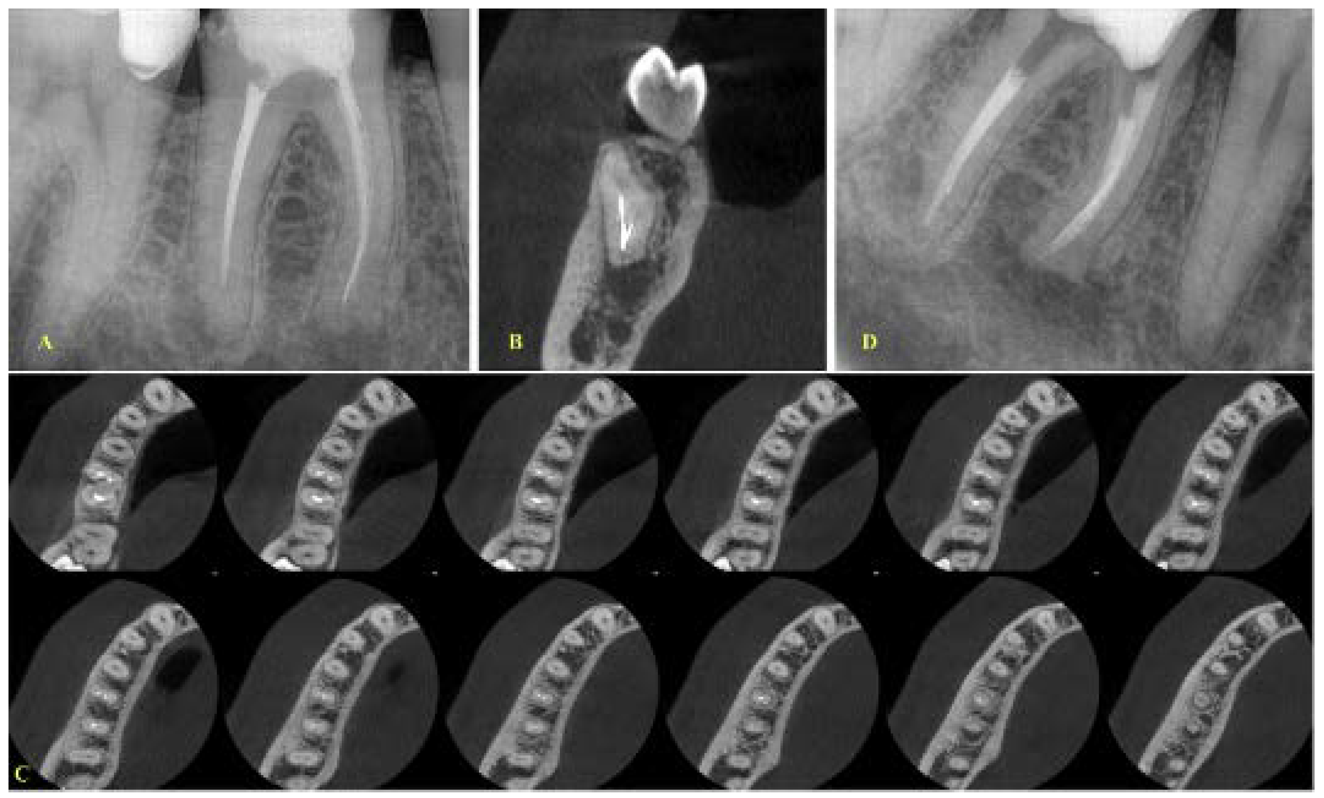 Ijerph 19 04088 g003 550