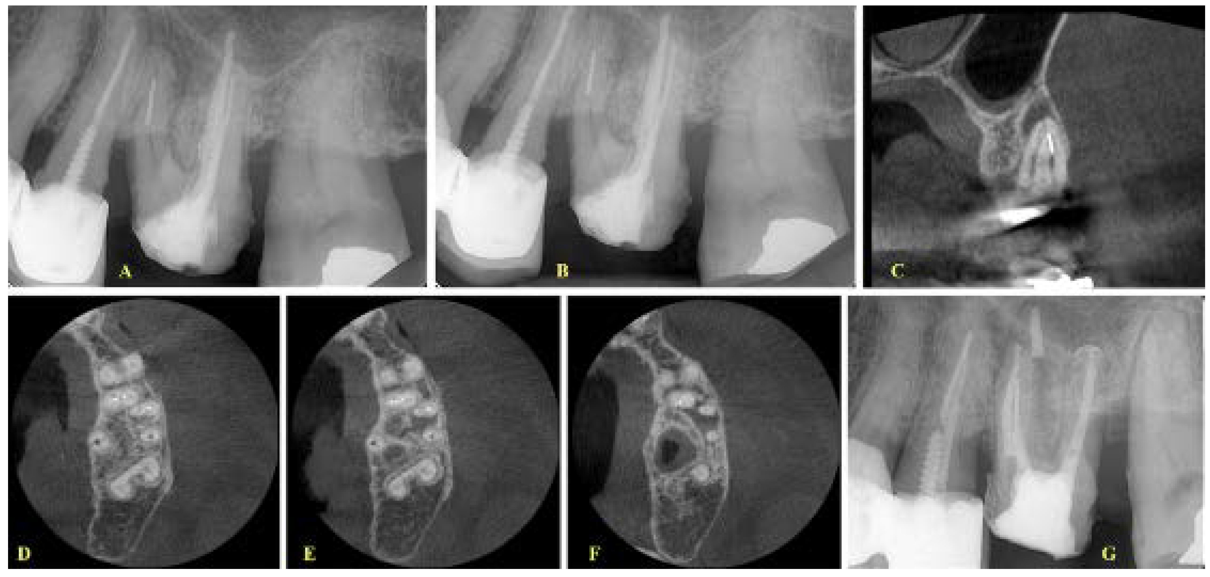 Ijerph 19 04088 g004 550