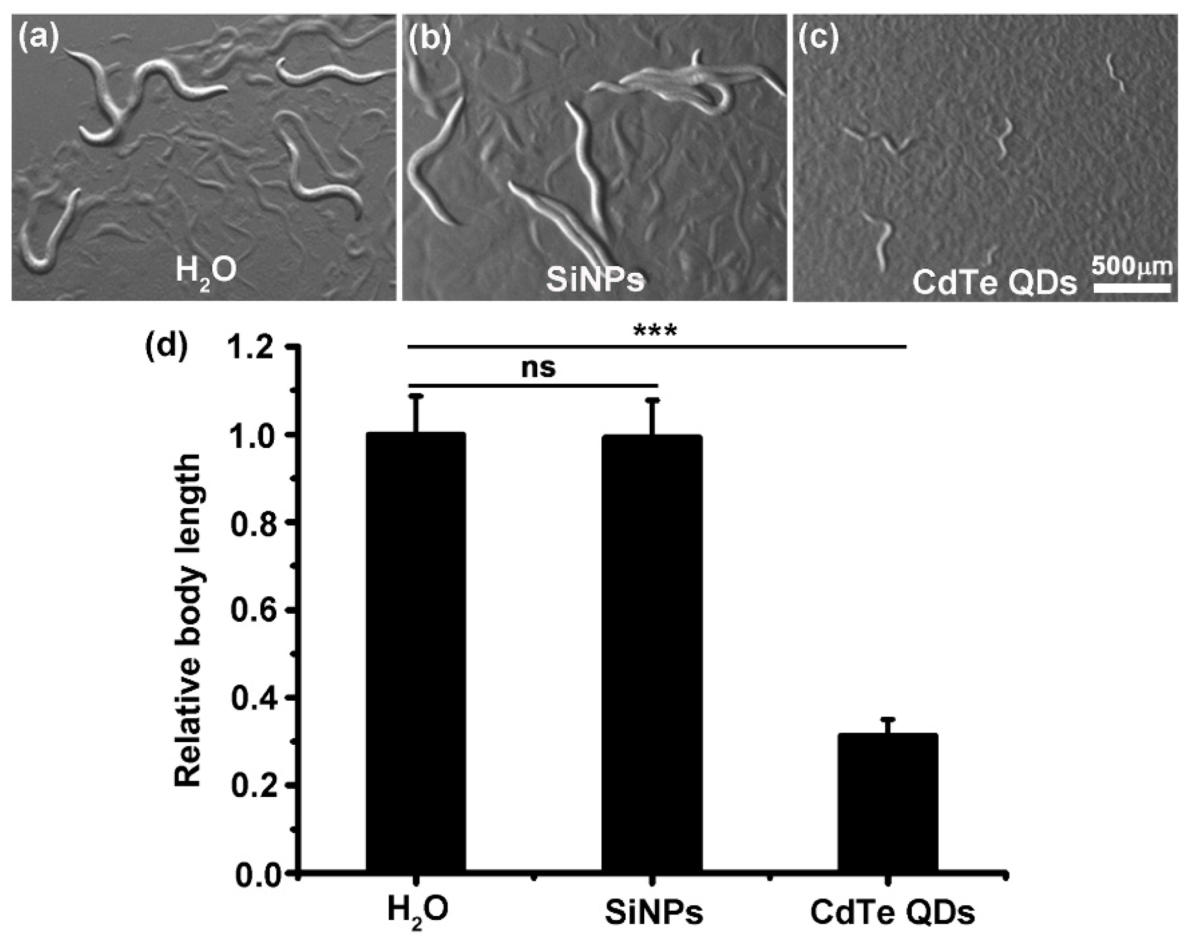 Ijerph 19 04101 g002 Ijerph 19 04101 g002