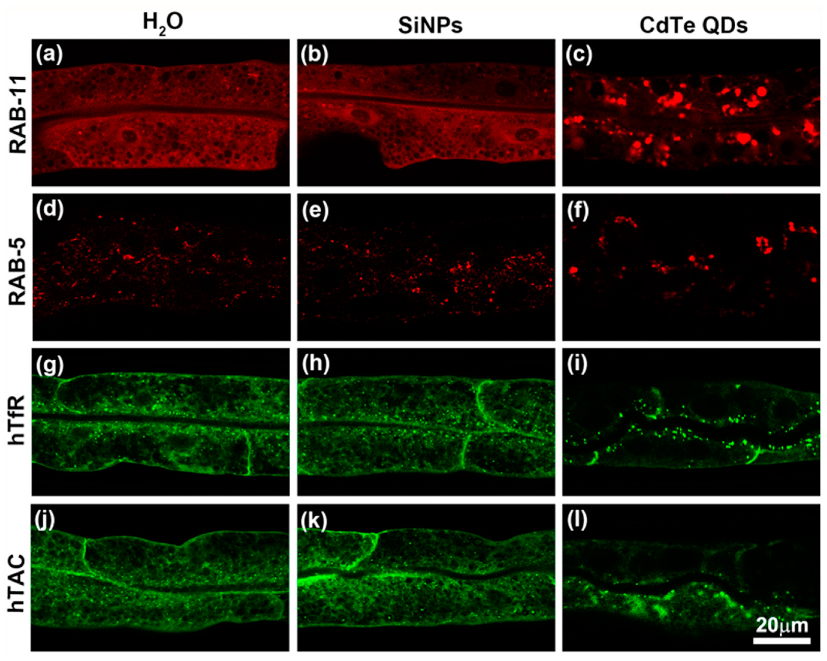 Ijerph 19 04101 g004 Ijerph 19 04101 g004