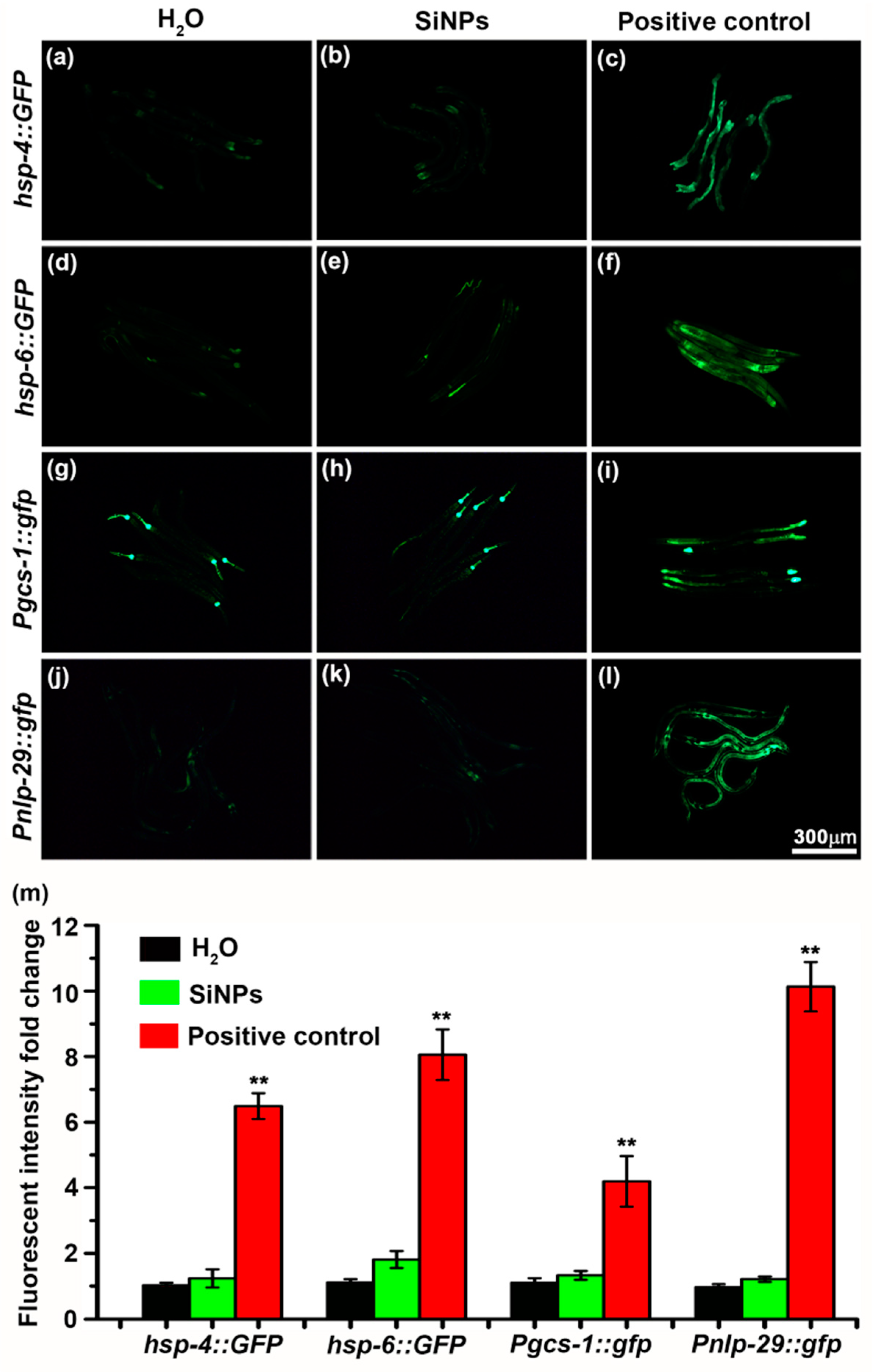 Ijerph 19 04101 g005 Ijerph 19 04101 g005