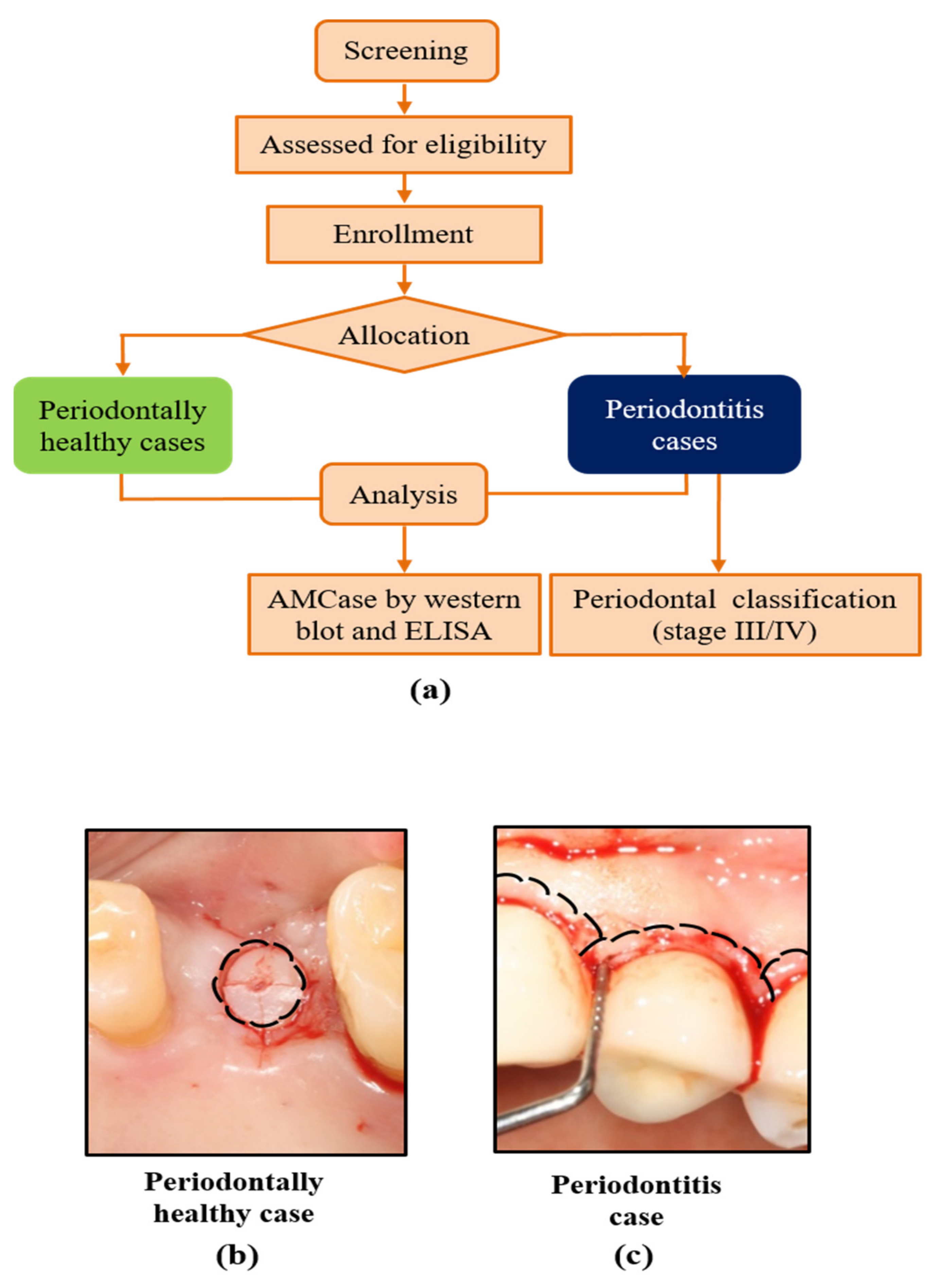 Ijerph 19 04113 g001