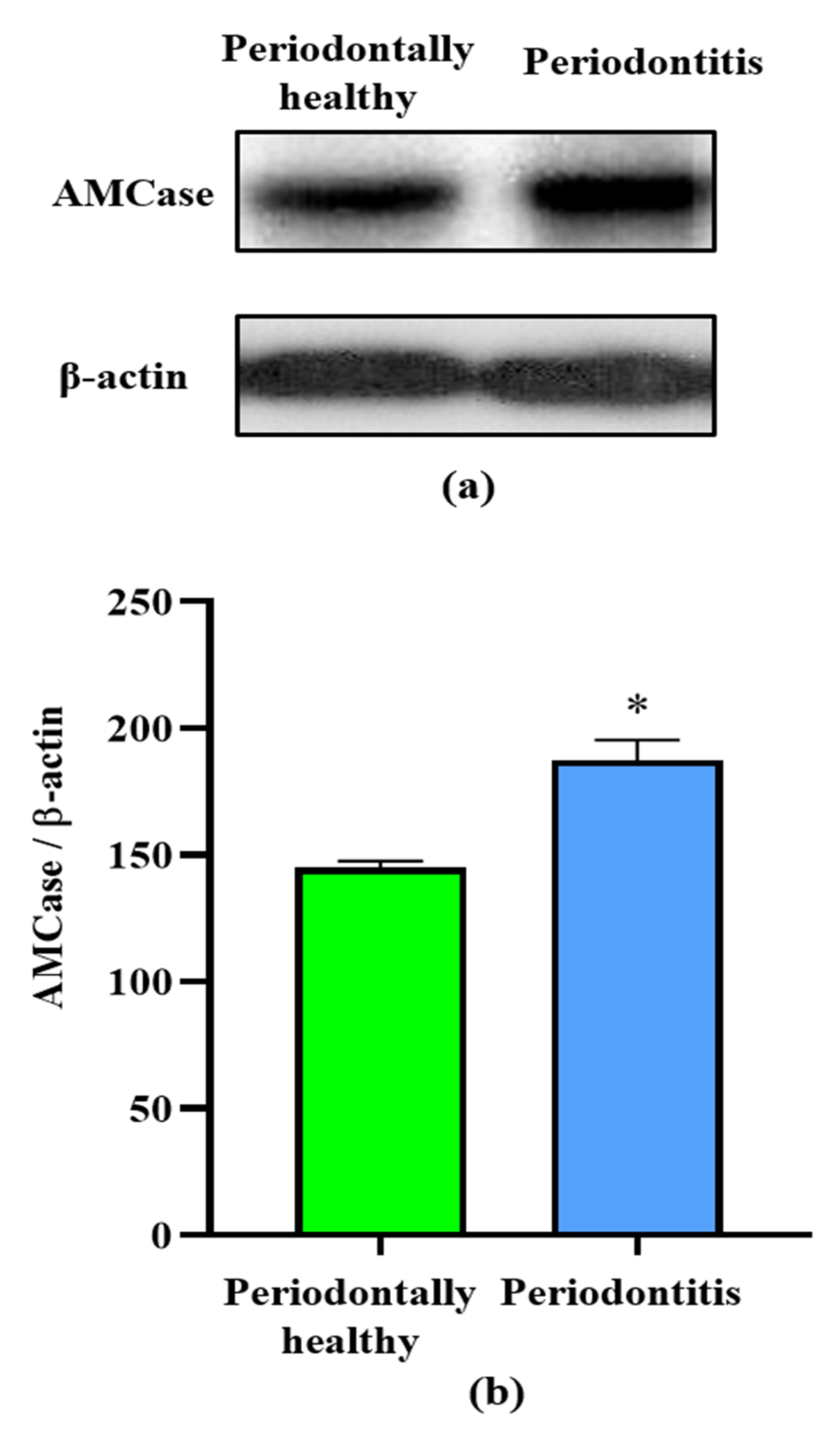 Ijerph 19 04113 g002