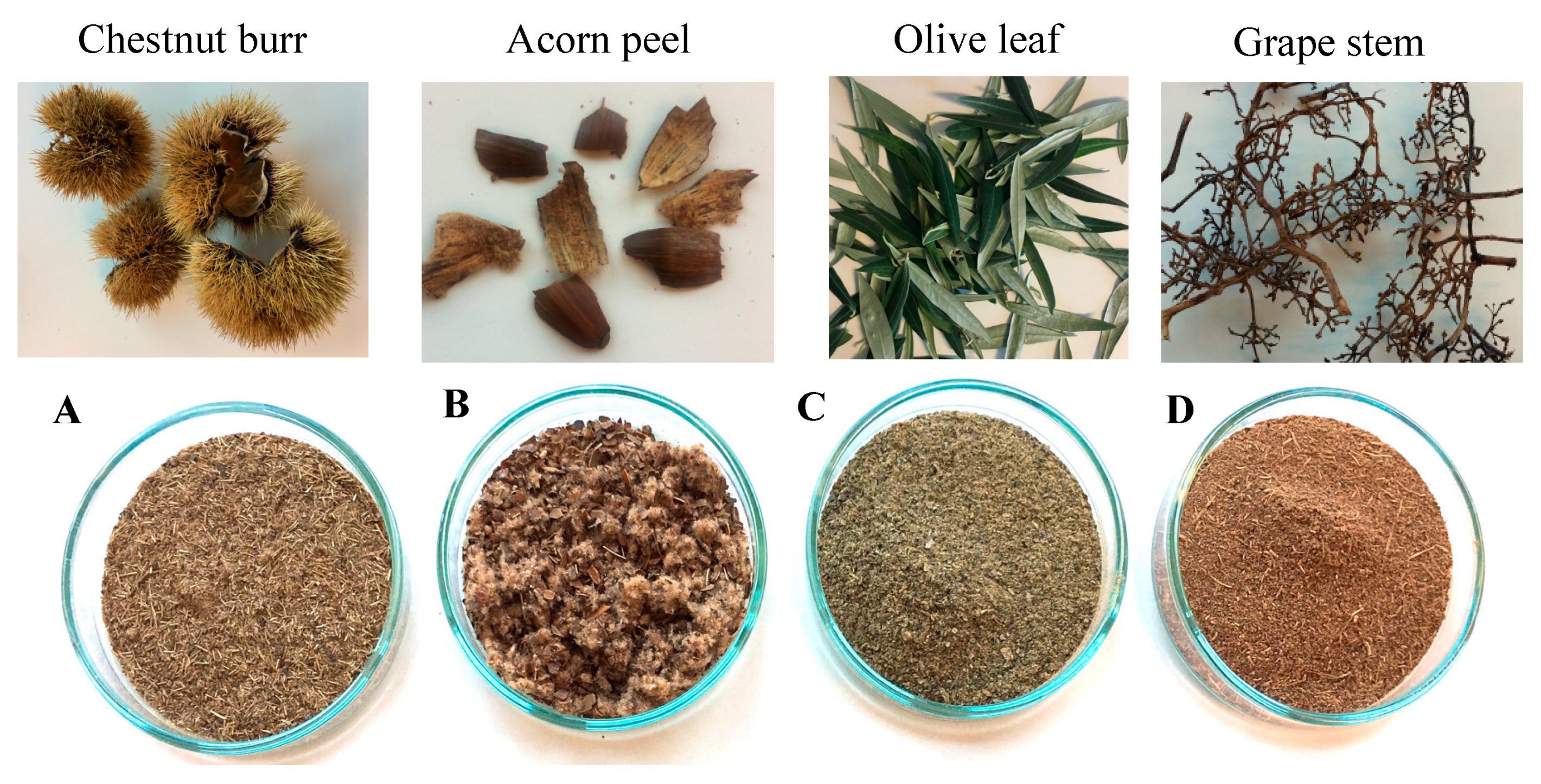 Ijerph 19 04134 g001 550