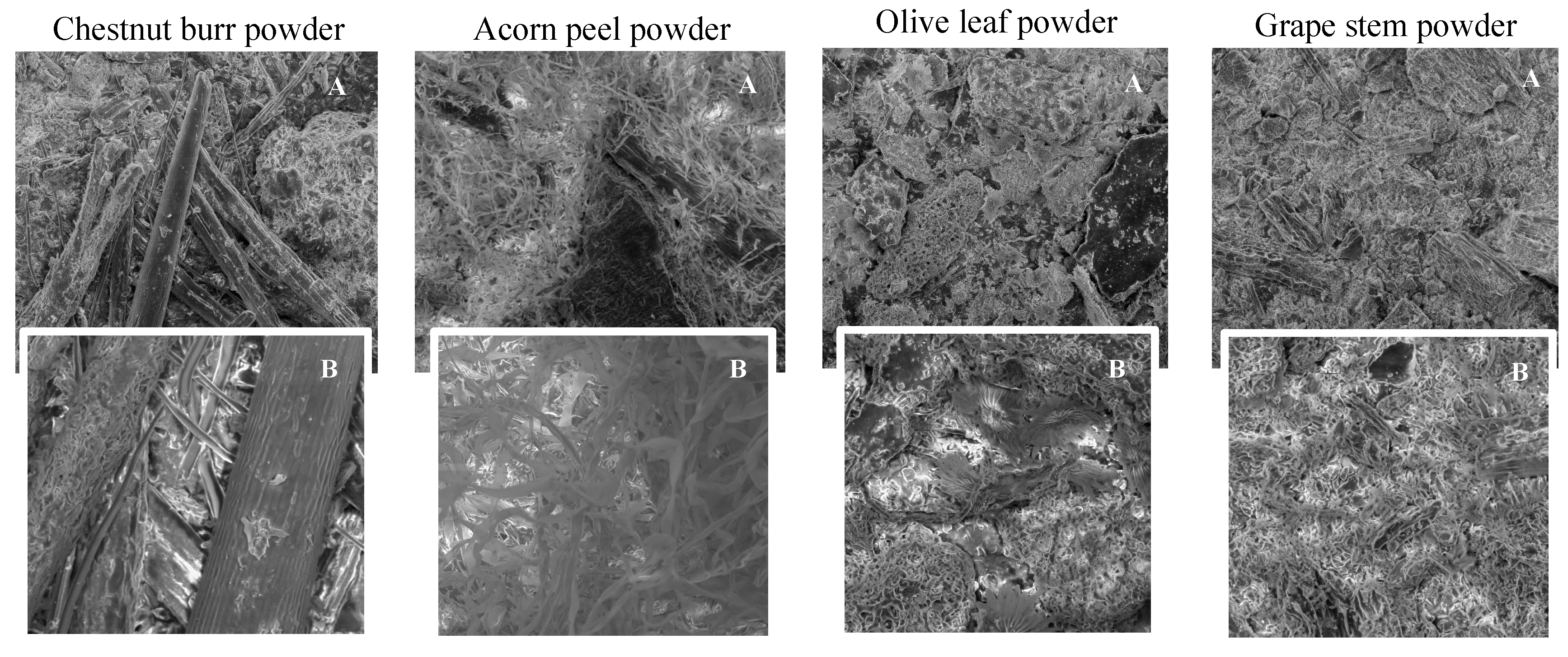 Ijerph 19 04134 g004 550