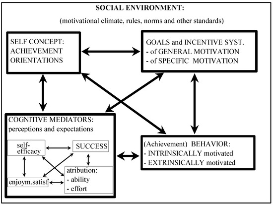 Dynamic Interactive Model of Sport Motivation