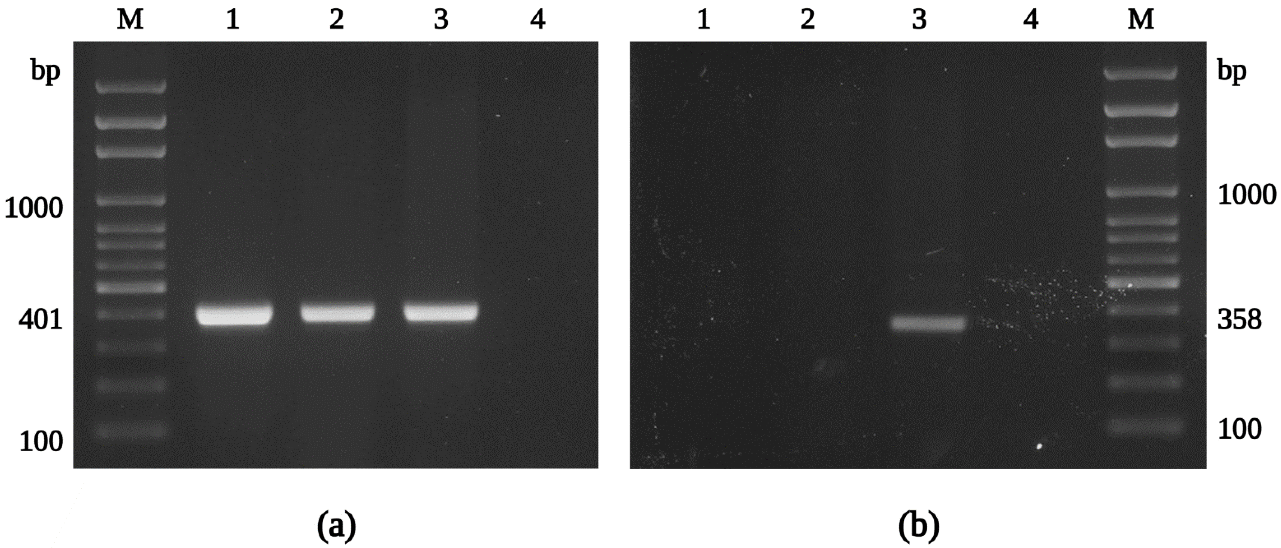 Ijerph 19 04321 g002