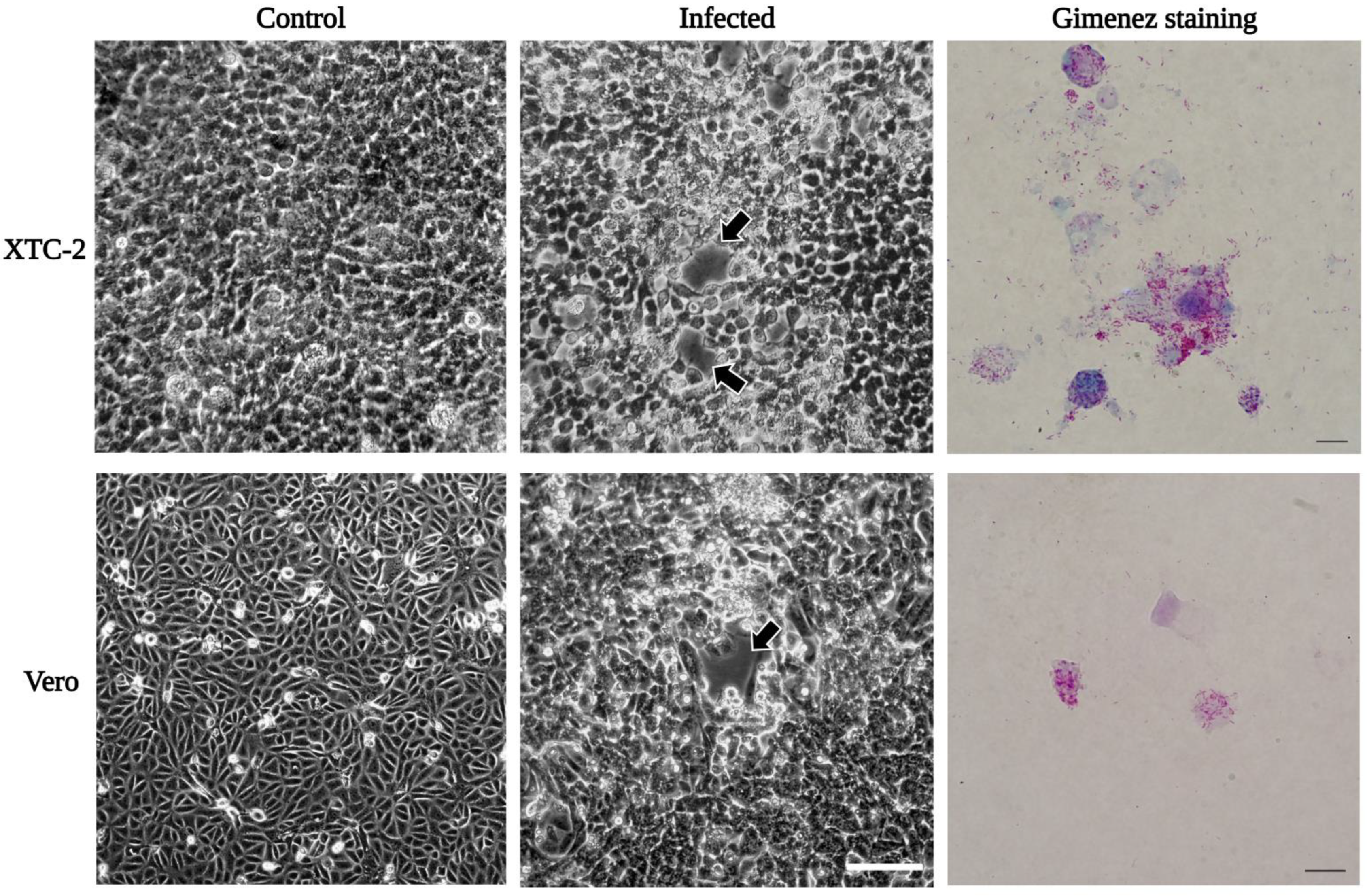 Ijerph 19 04321 g003