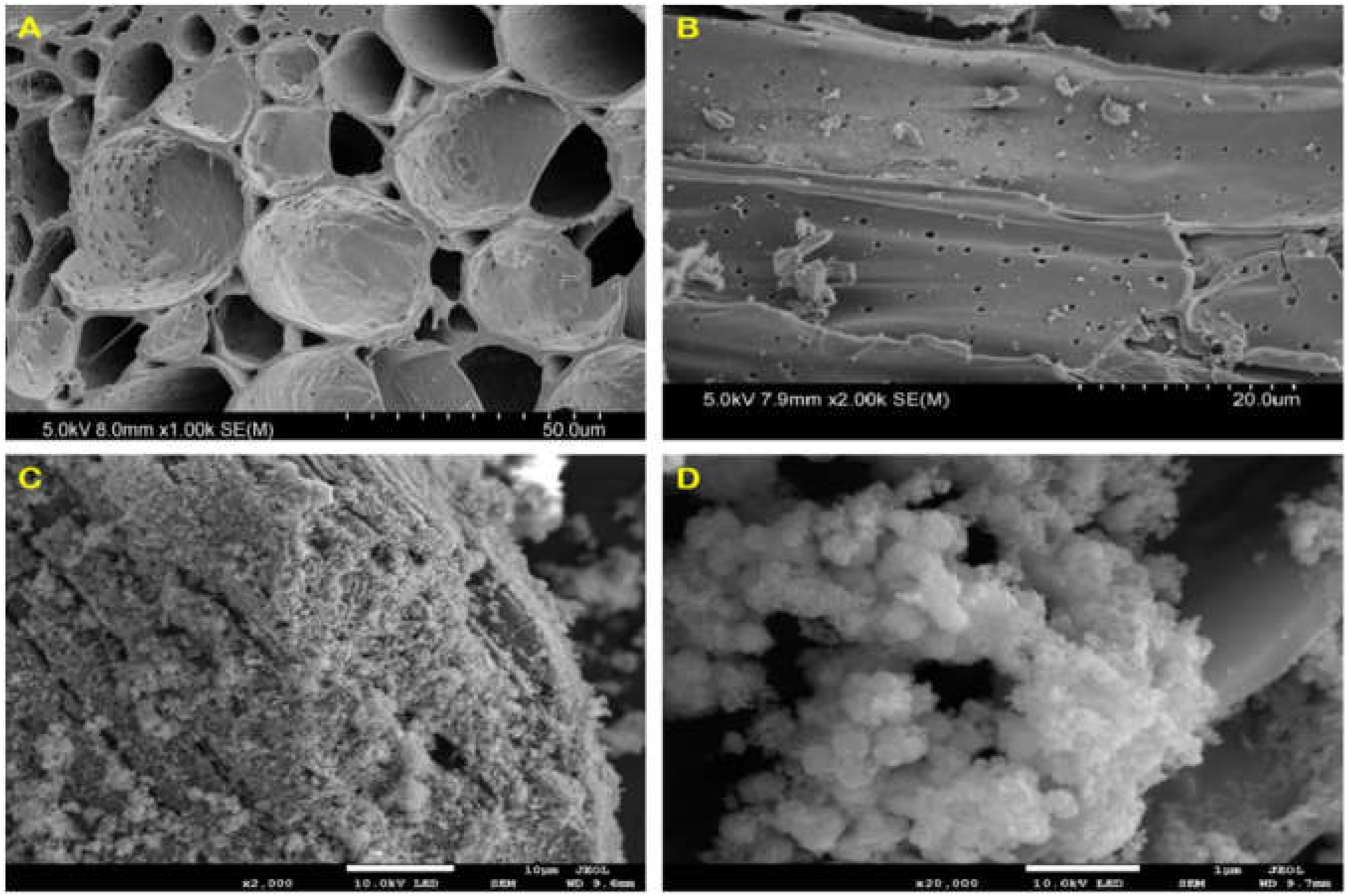 Ijerph 19 04389 g001