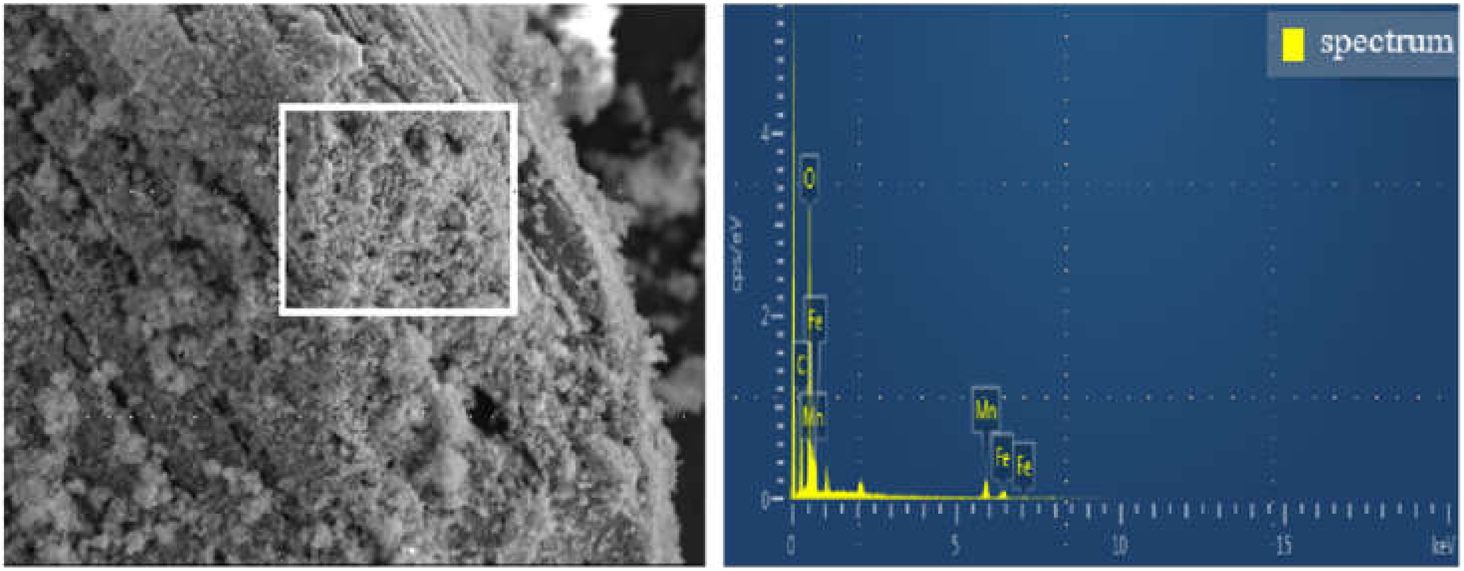 Ijerph 19 04389 g002