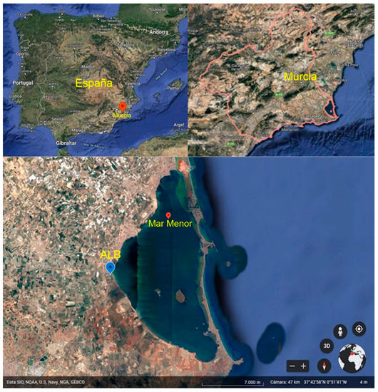 graphic_overview