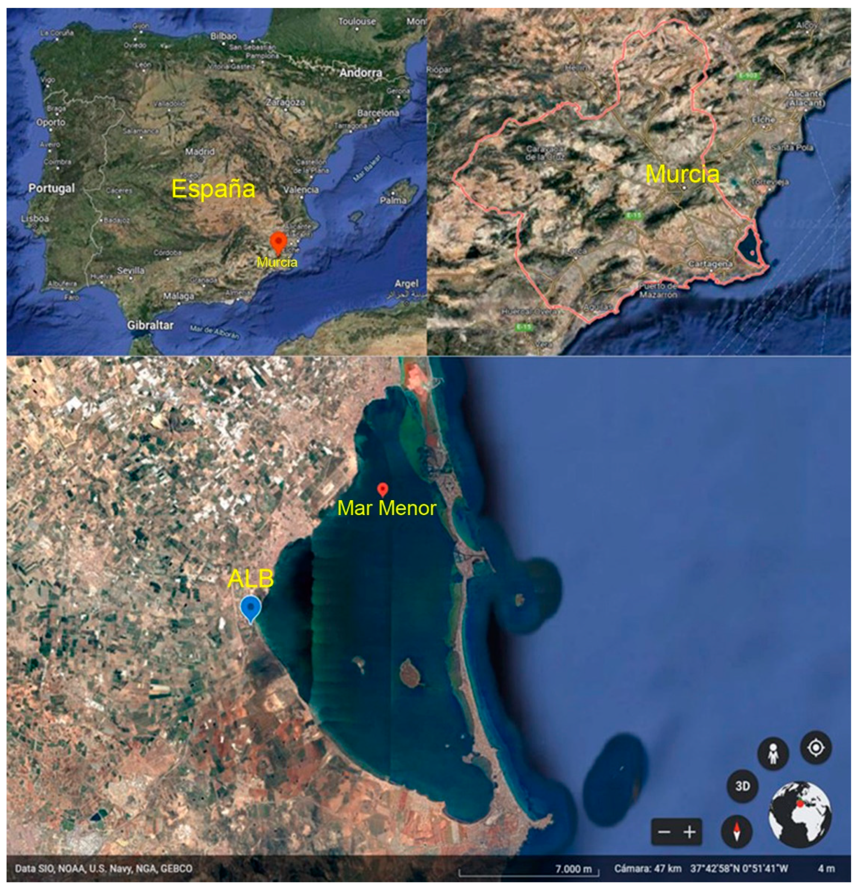 Ijerph 19 04531 g001 550