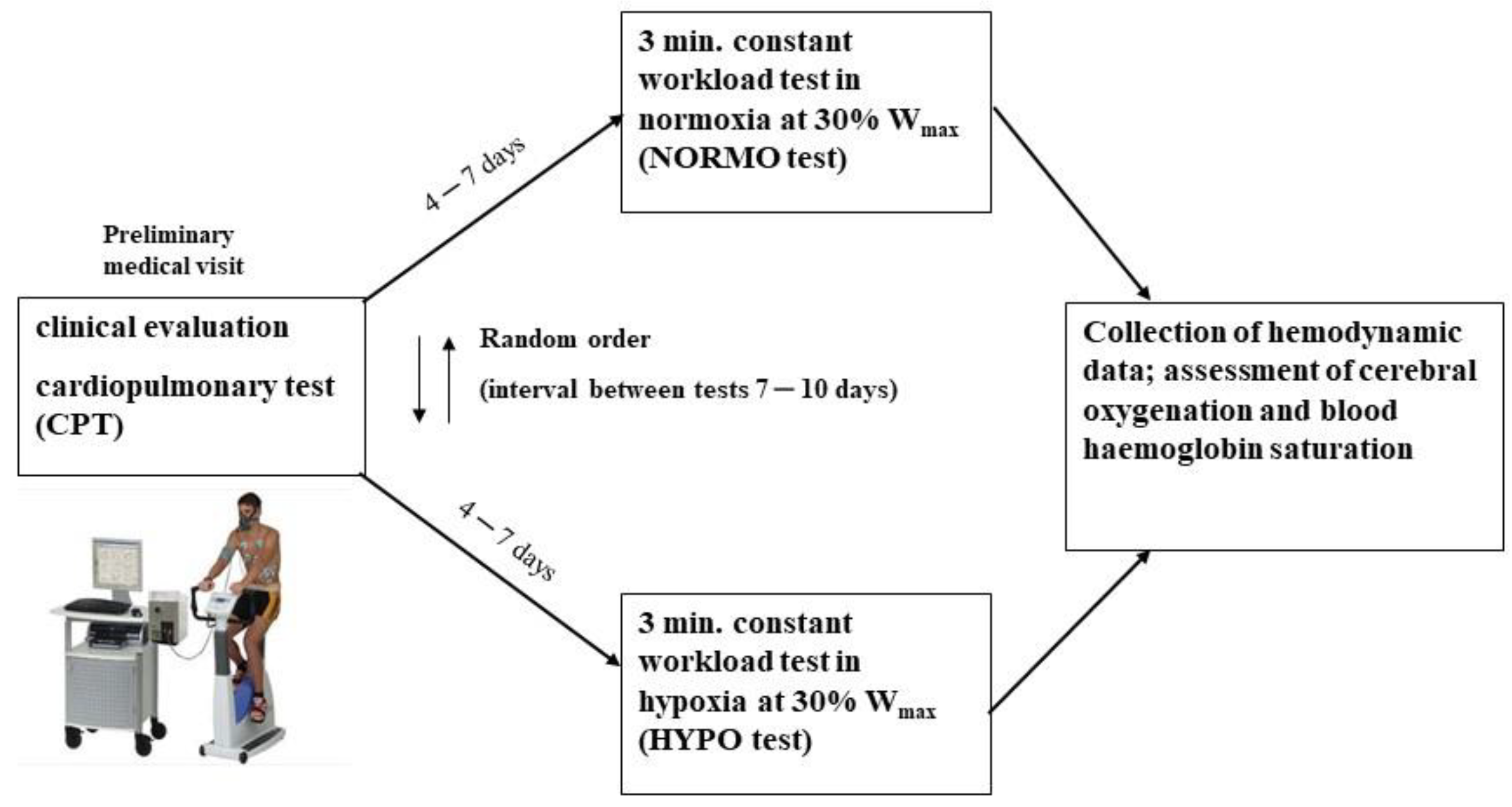 Ijerph 19 04558 g001 Ijerph 19 04558 g001