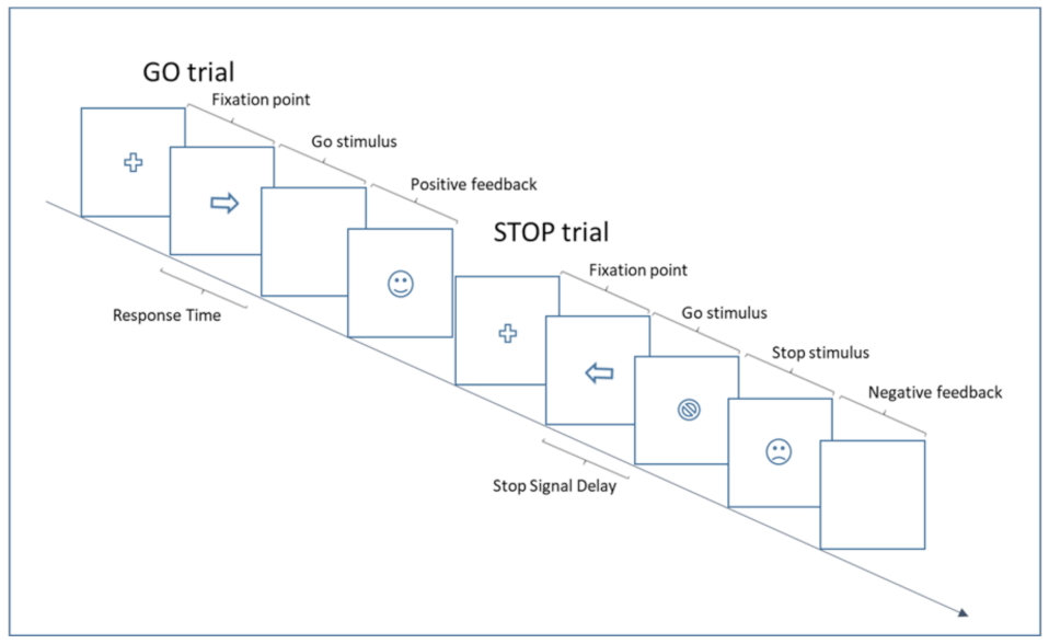 Ijerph 19 04575 g003