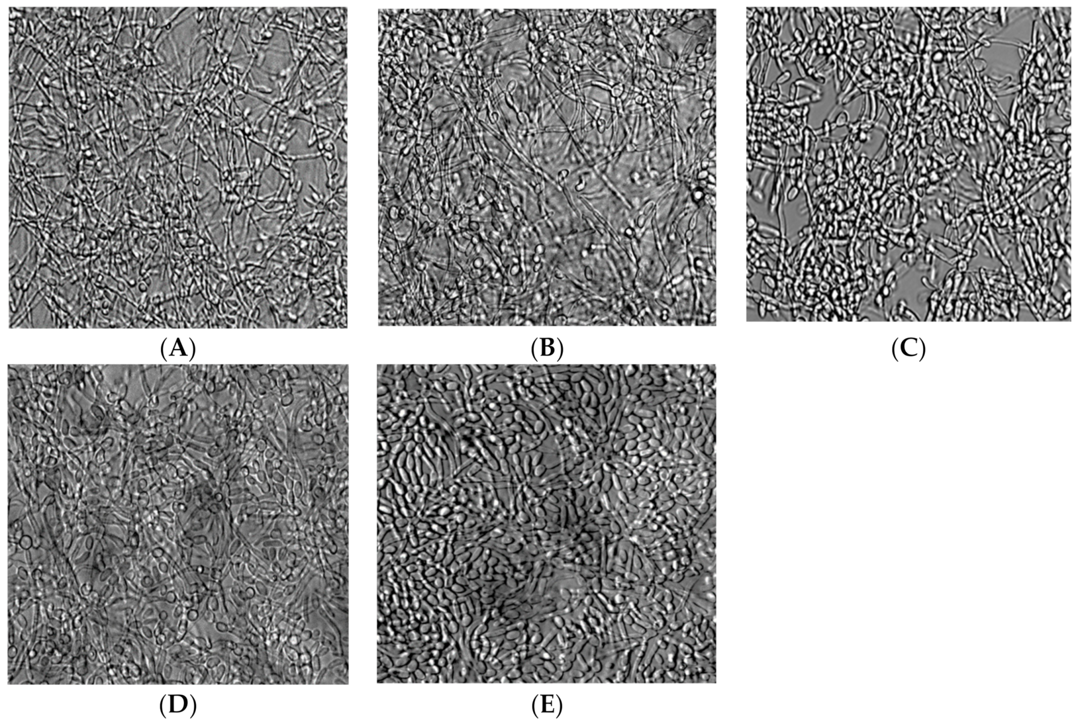 Ijerph 19 04626 g003 Ijerph 19 04626 g003