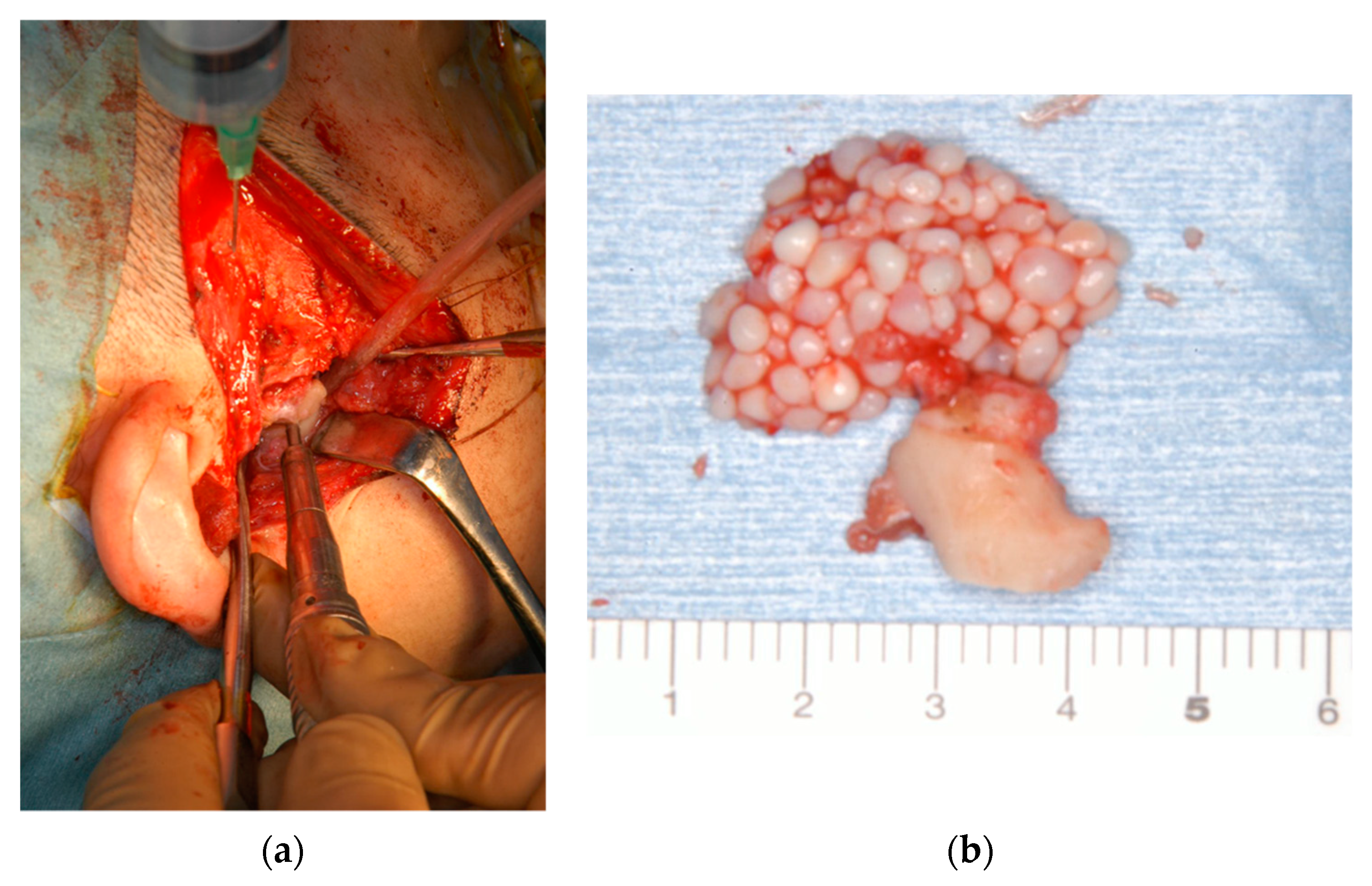 Ijerph 19 04702 g002 Ijerph 19 04702 g002