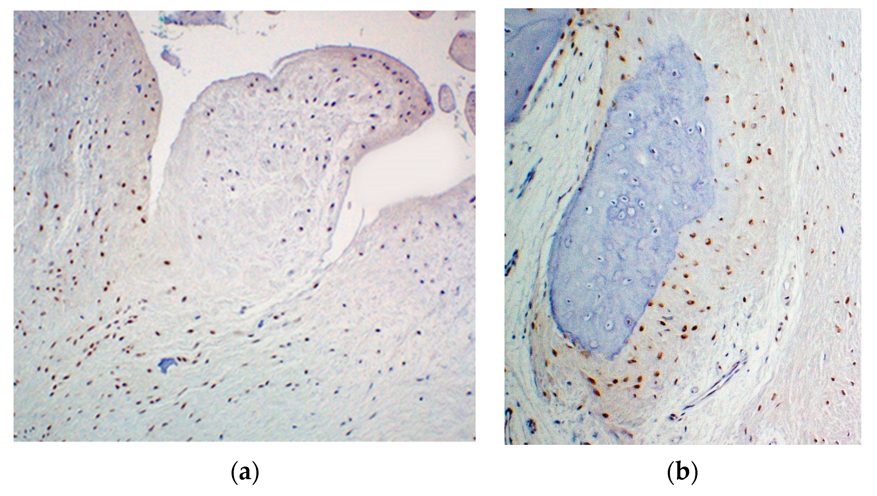 Ijerph 19 04702 g003 Ijerph 19 04702 g003
