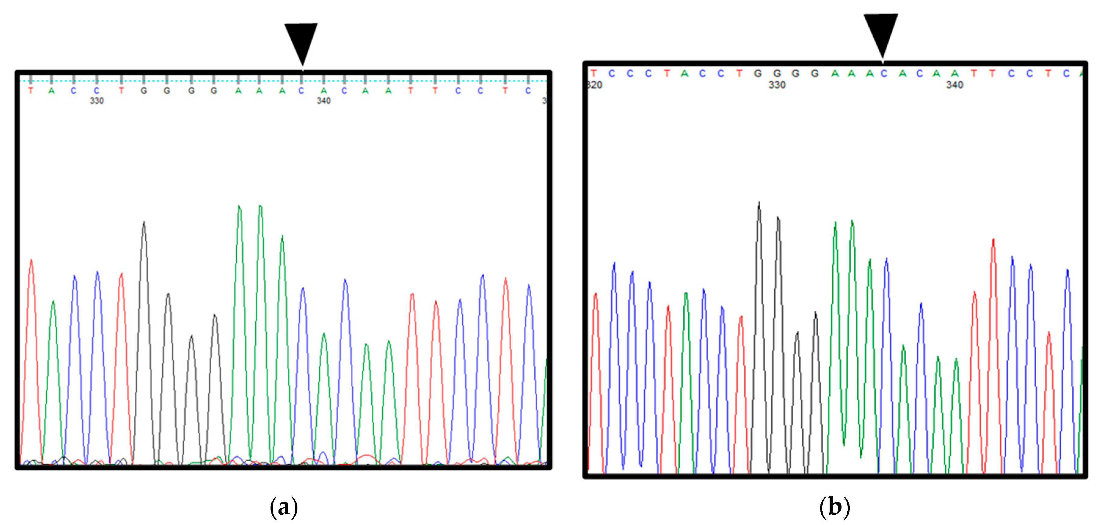 Ijerph 19 04702 g005 Ijerph 19 04702 g005
