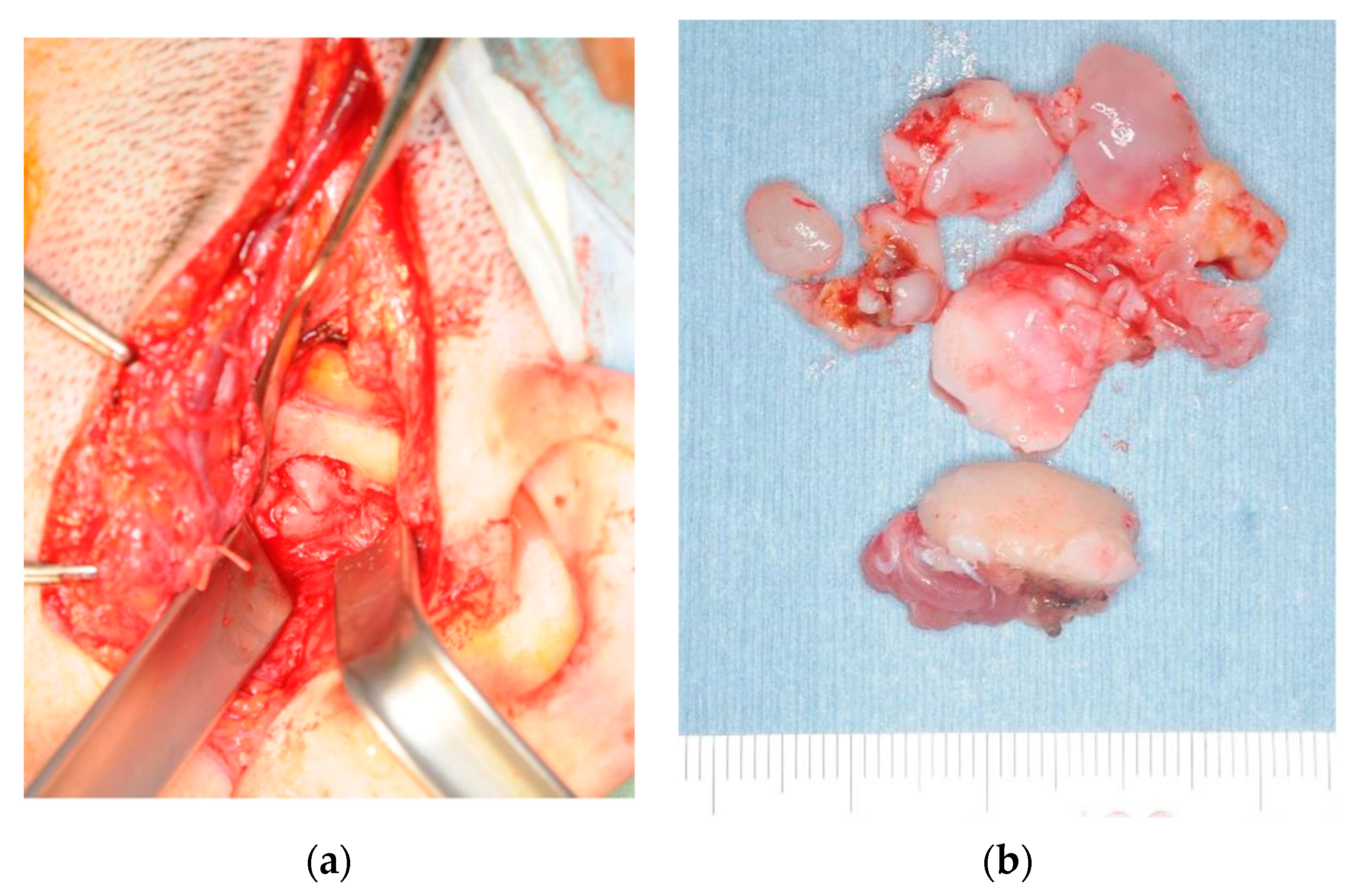 Ijerph 19 04702 g007 Ijerph 19 04702 g007