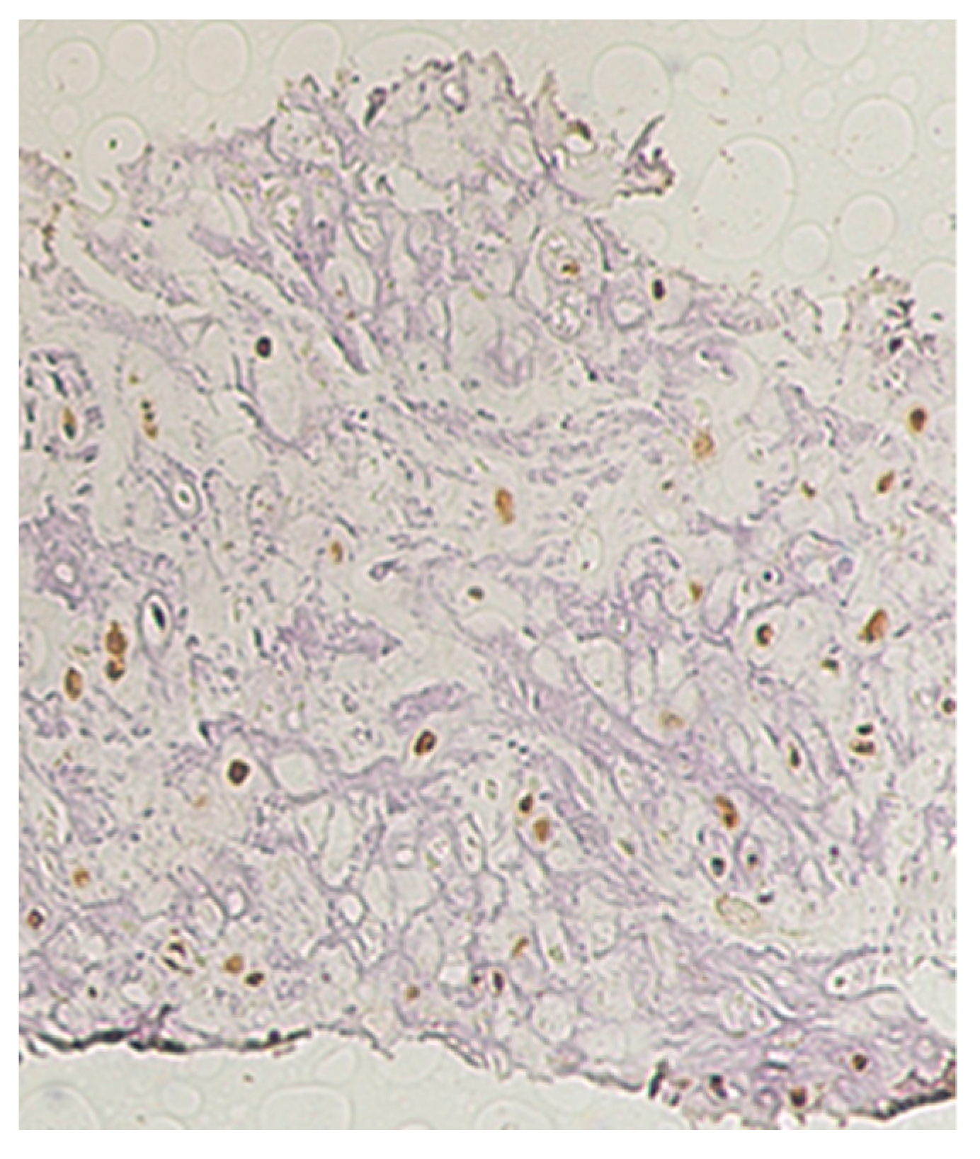 Ijerph 19 04702 g008 Ijerph 19 04702 g008