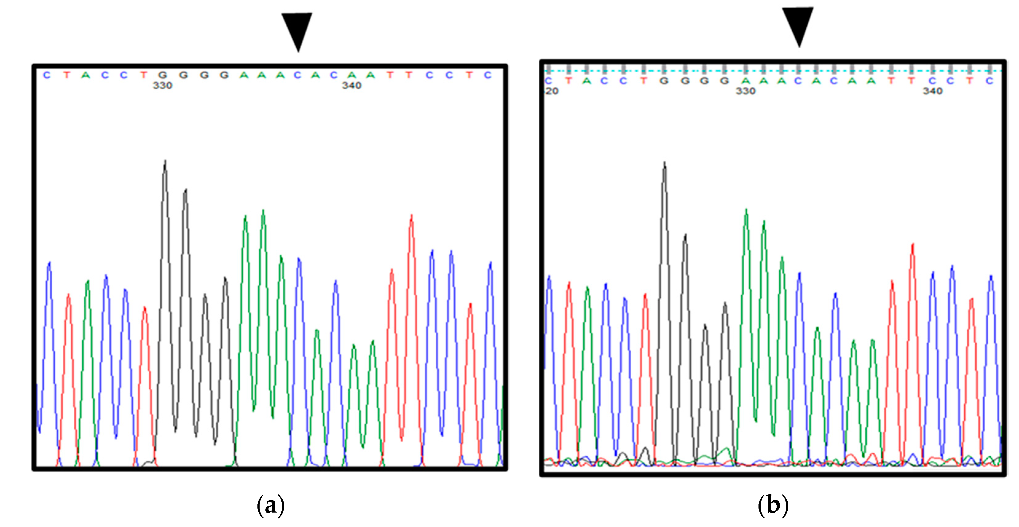 Ijerph 19 04702 g010 Ijerph 19 04702 g010