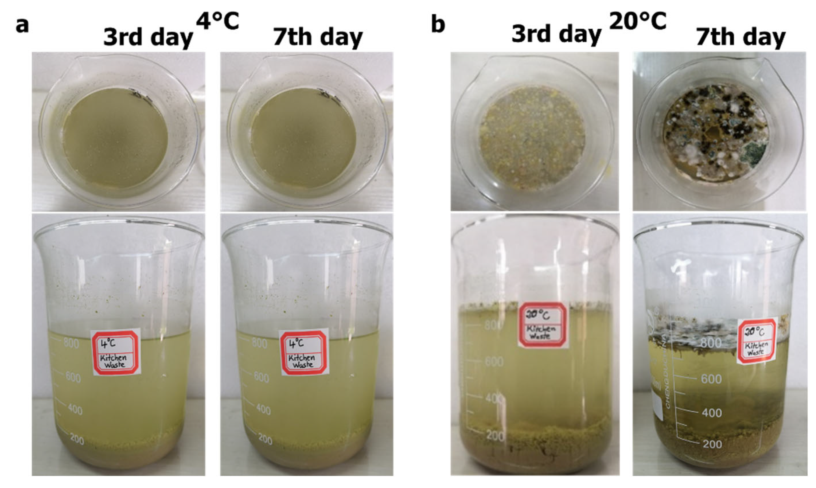 Ijerph 19 04731 g005