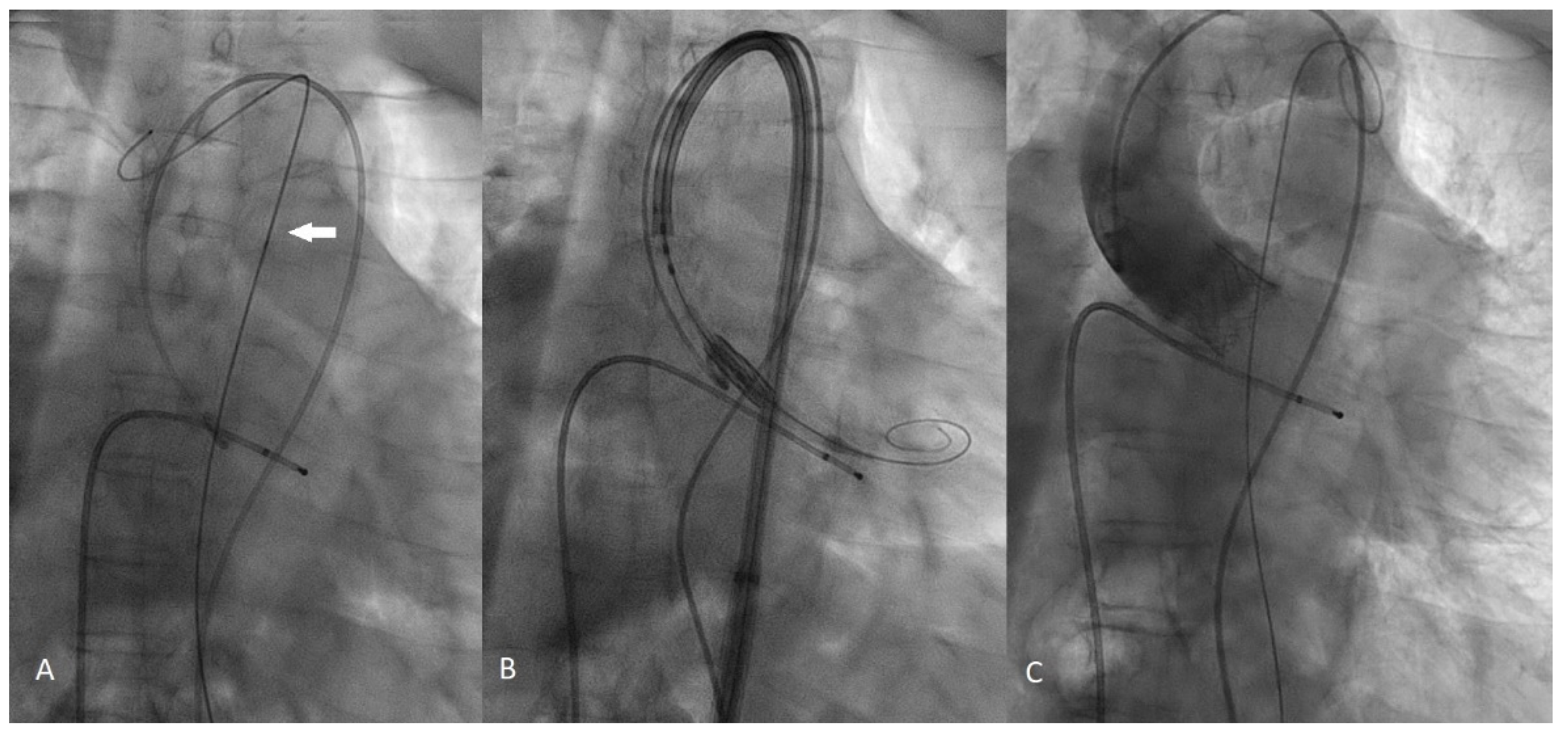 Ijerph 19 04763 g002 550