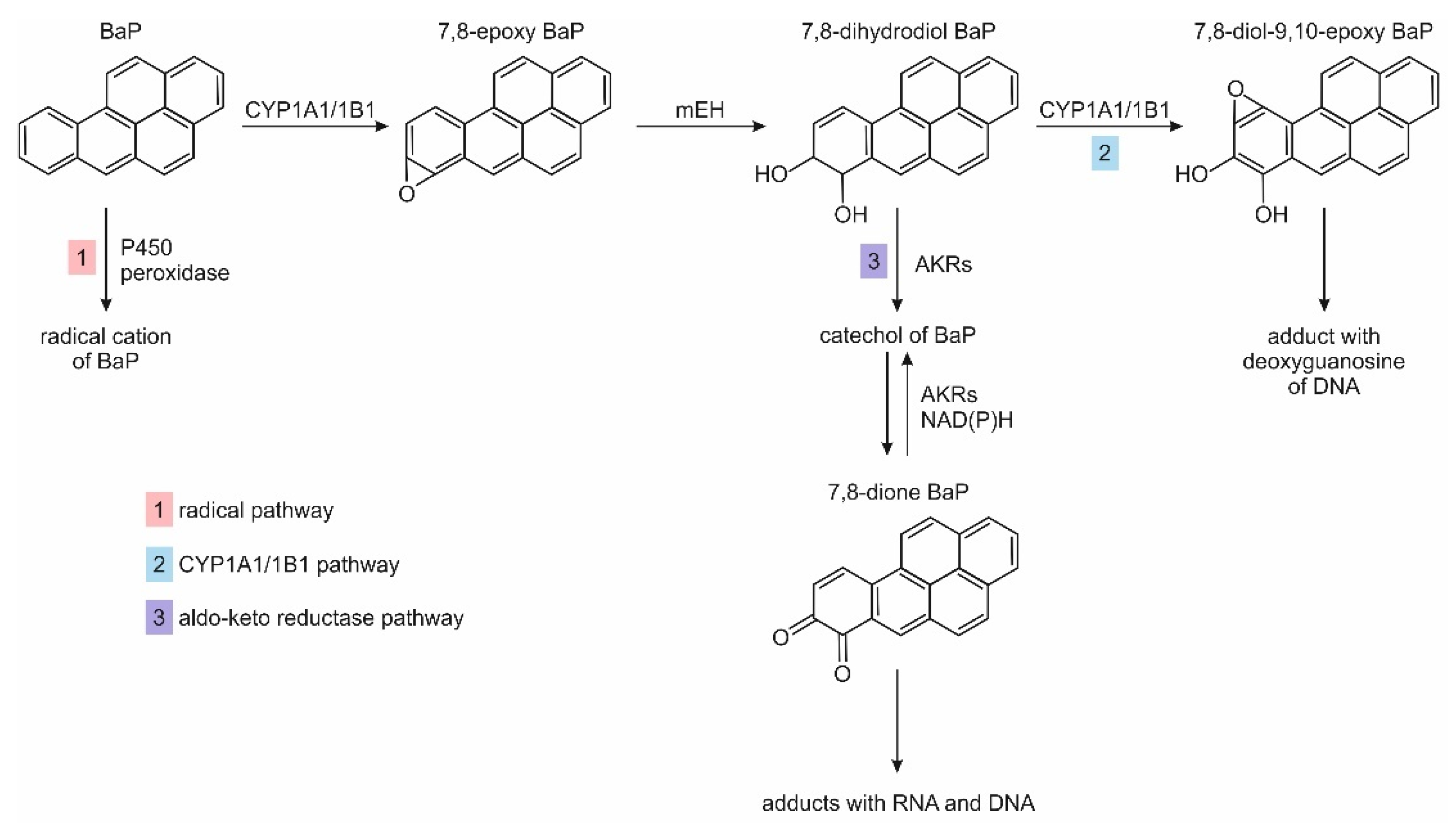 Ijerph 19 04781 g002