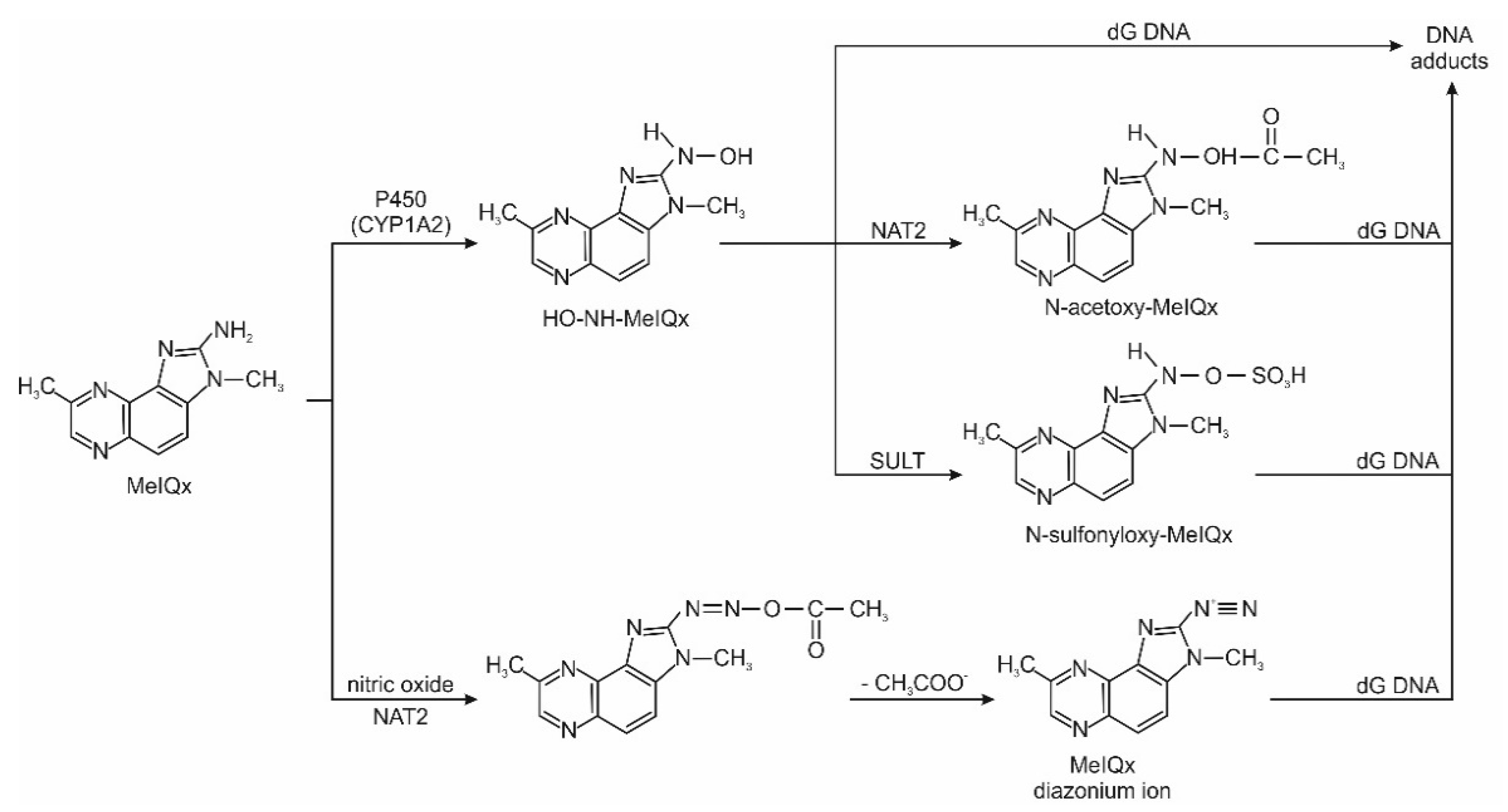 Ijerph 19 04781 g003