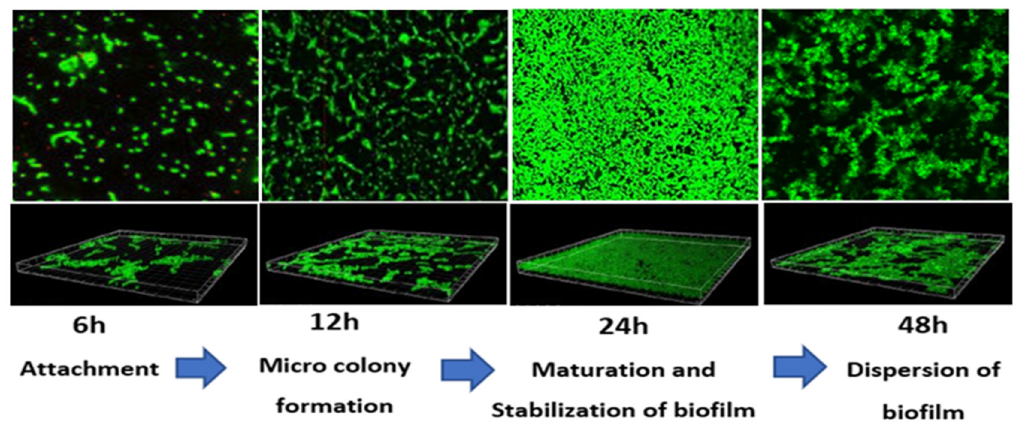 Ijerph 19 04788 g007