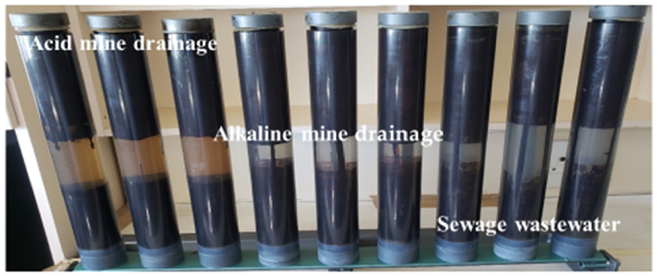 Ijerph 19 04791 g002 550