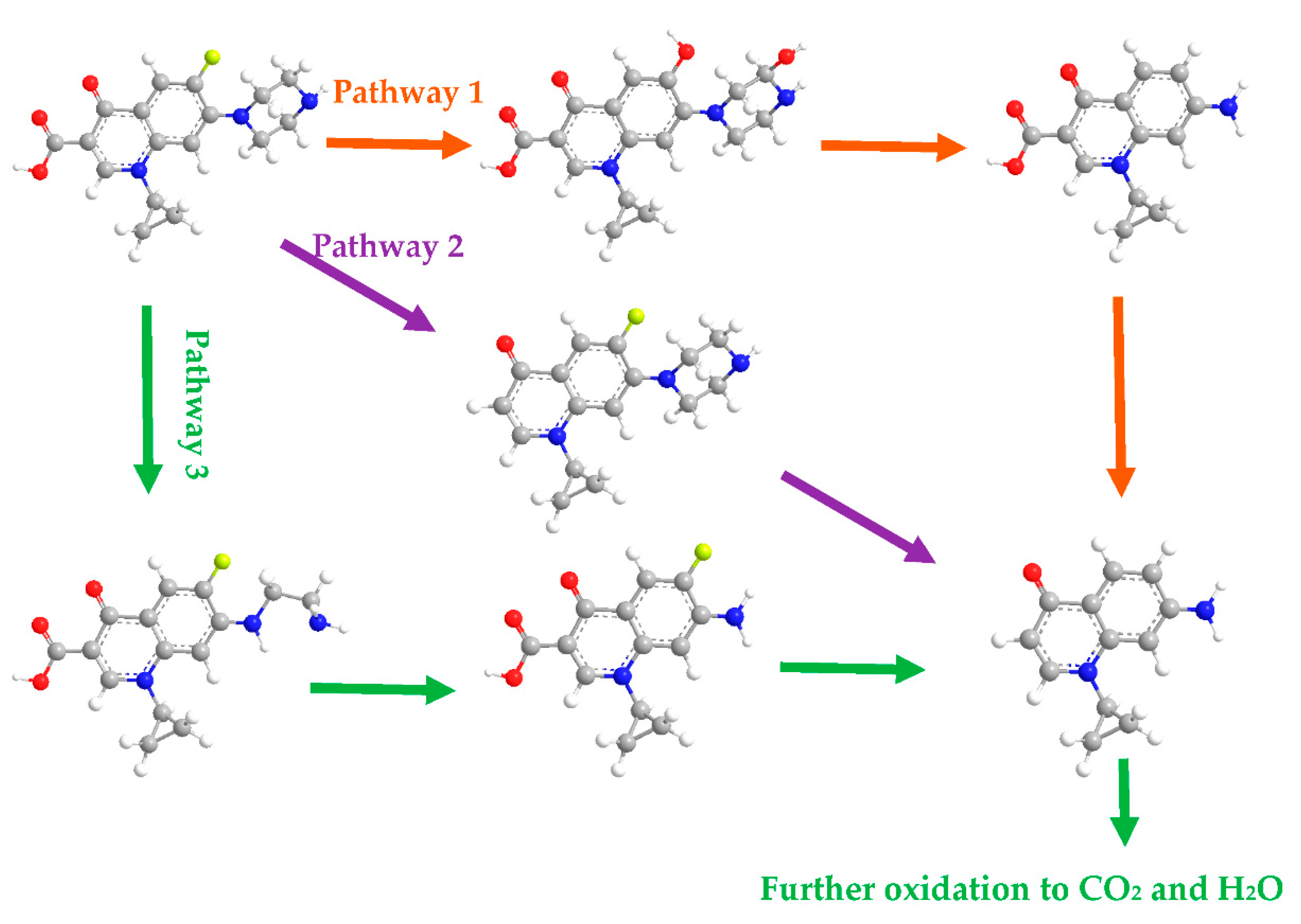 Ijerph 19 04793 g010 550