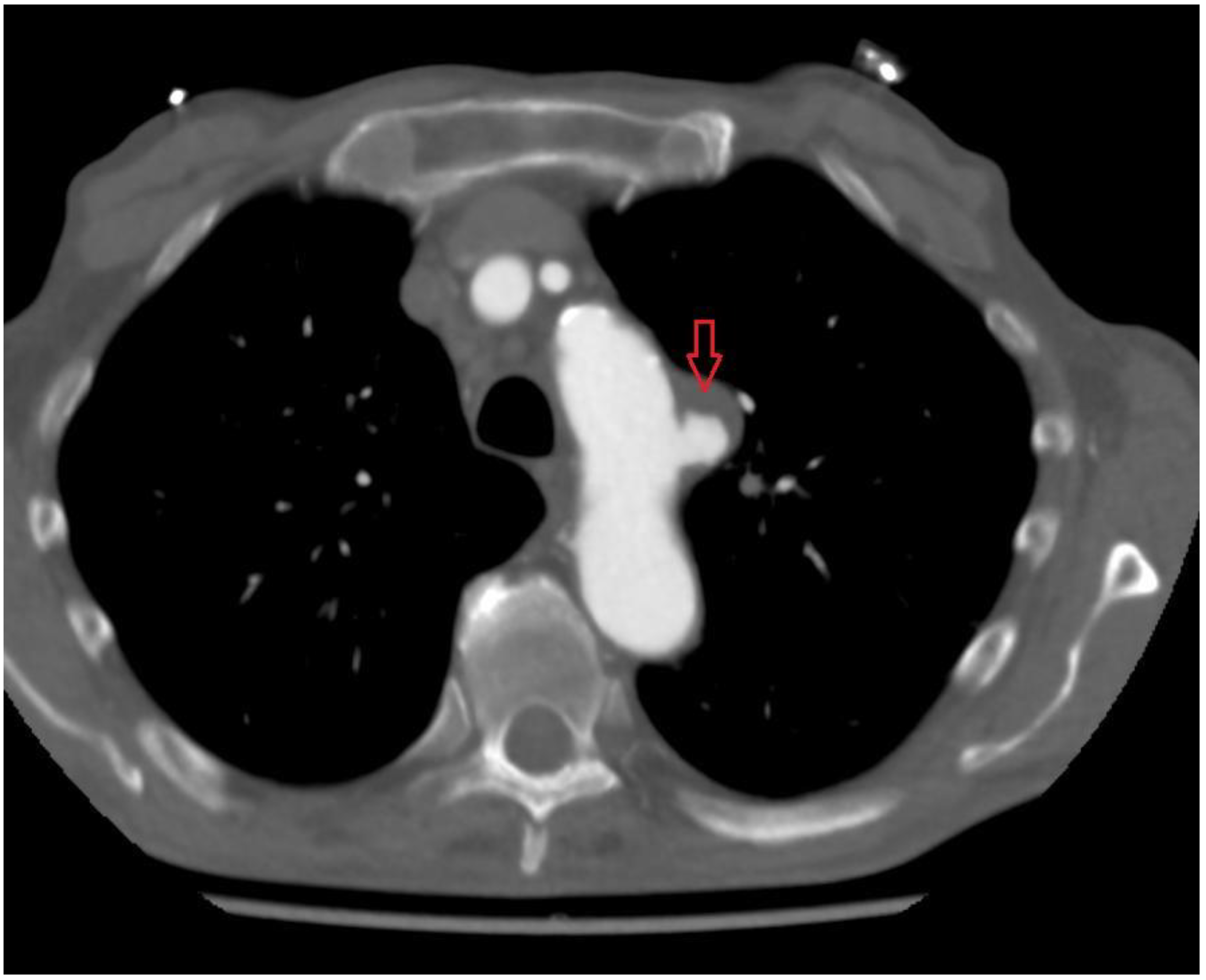 Ijerph 19 04809 g001 550