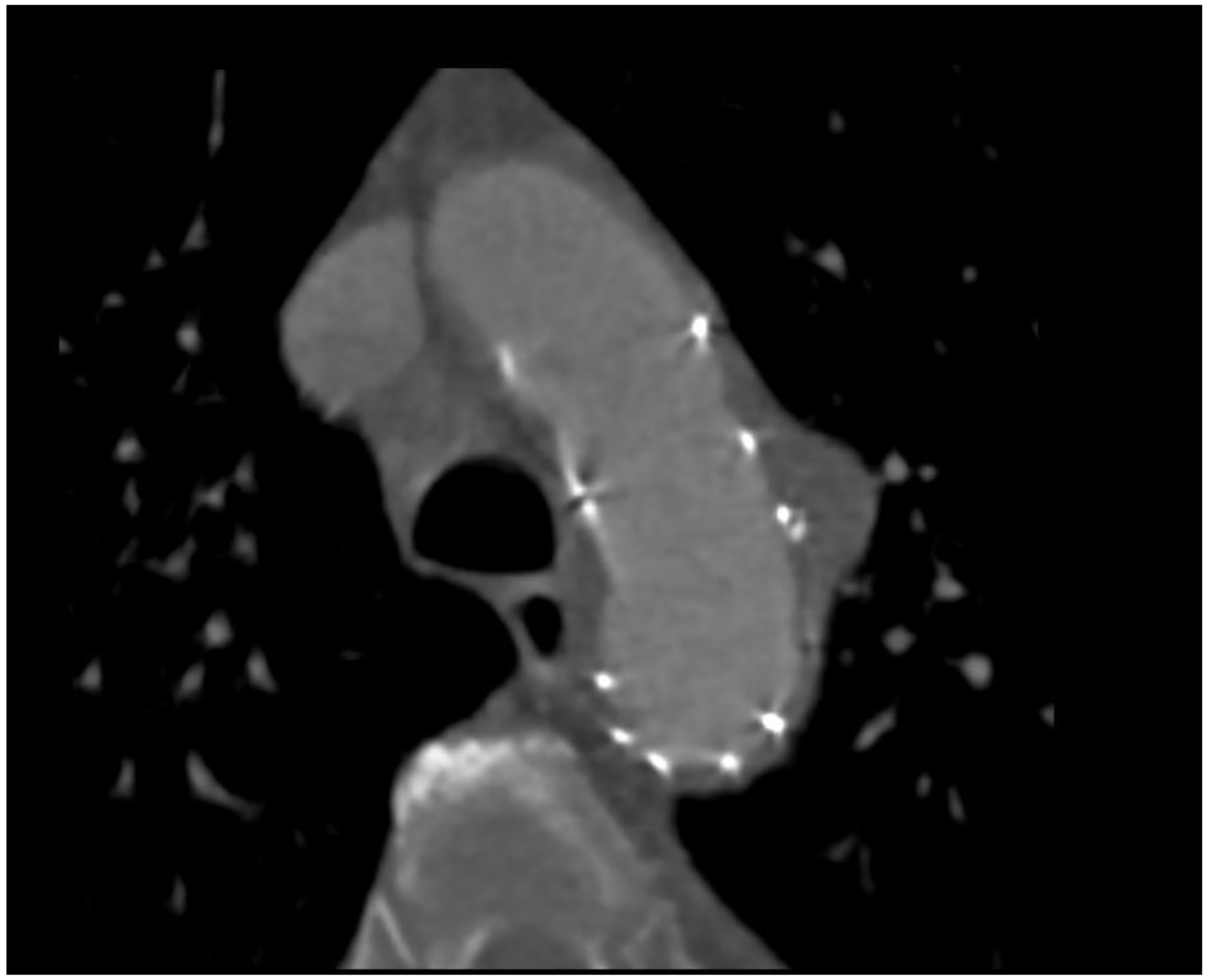 Ijerph 19 04809 g003 550