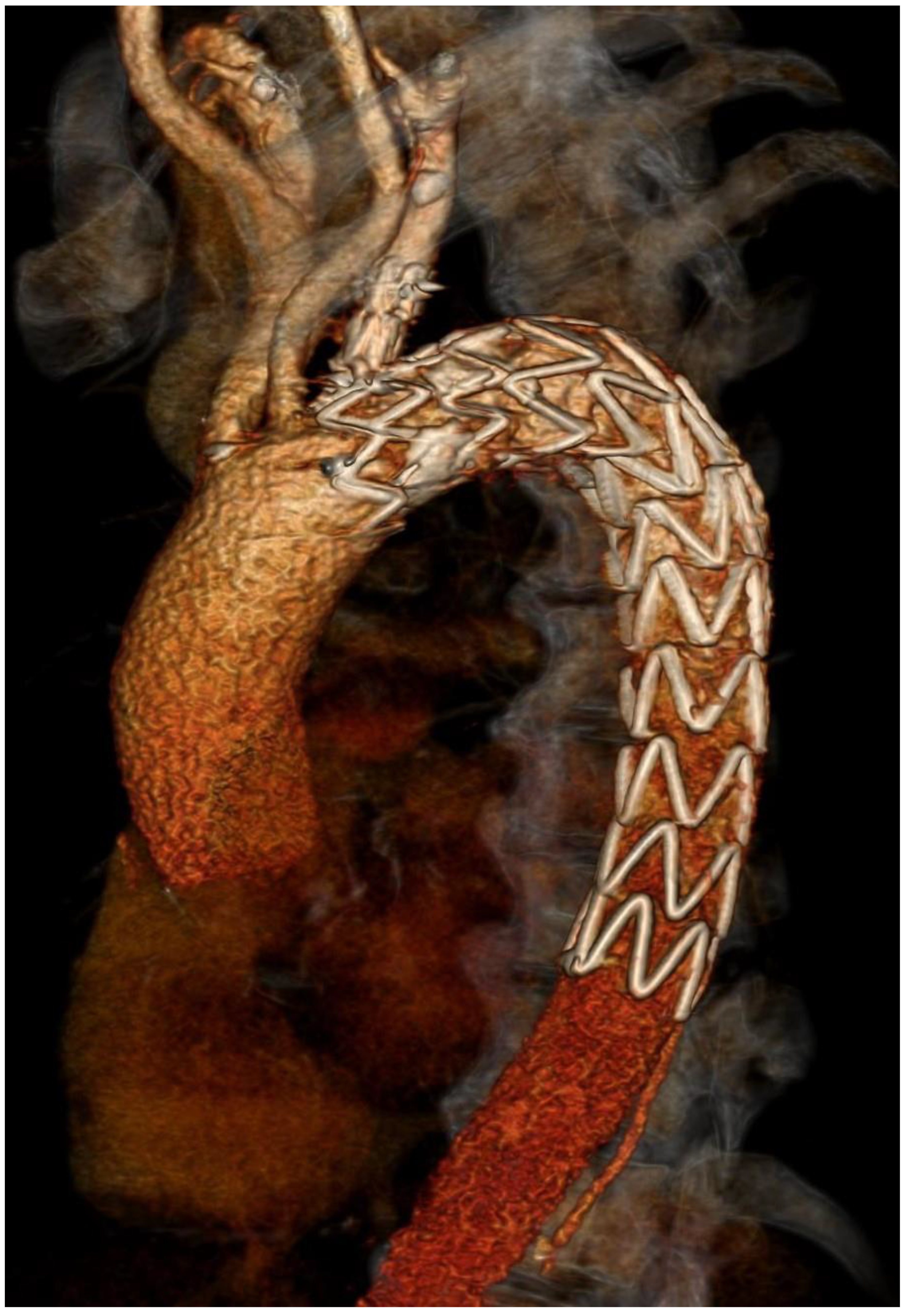 Ijerph 19 04809 g004 550