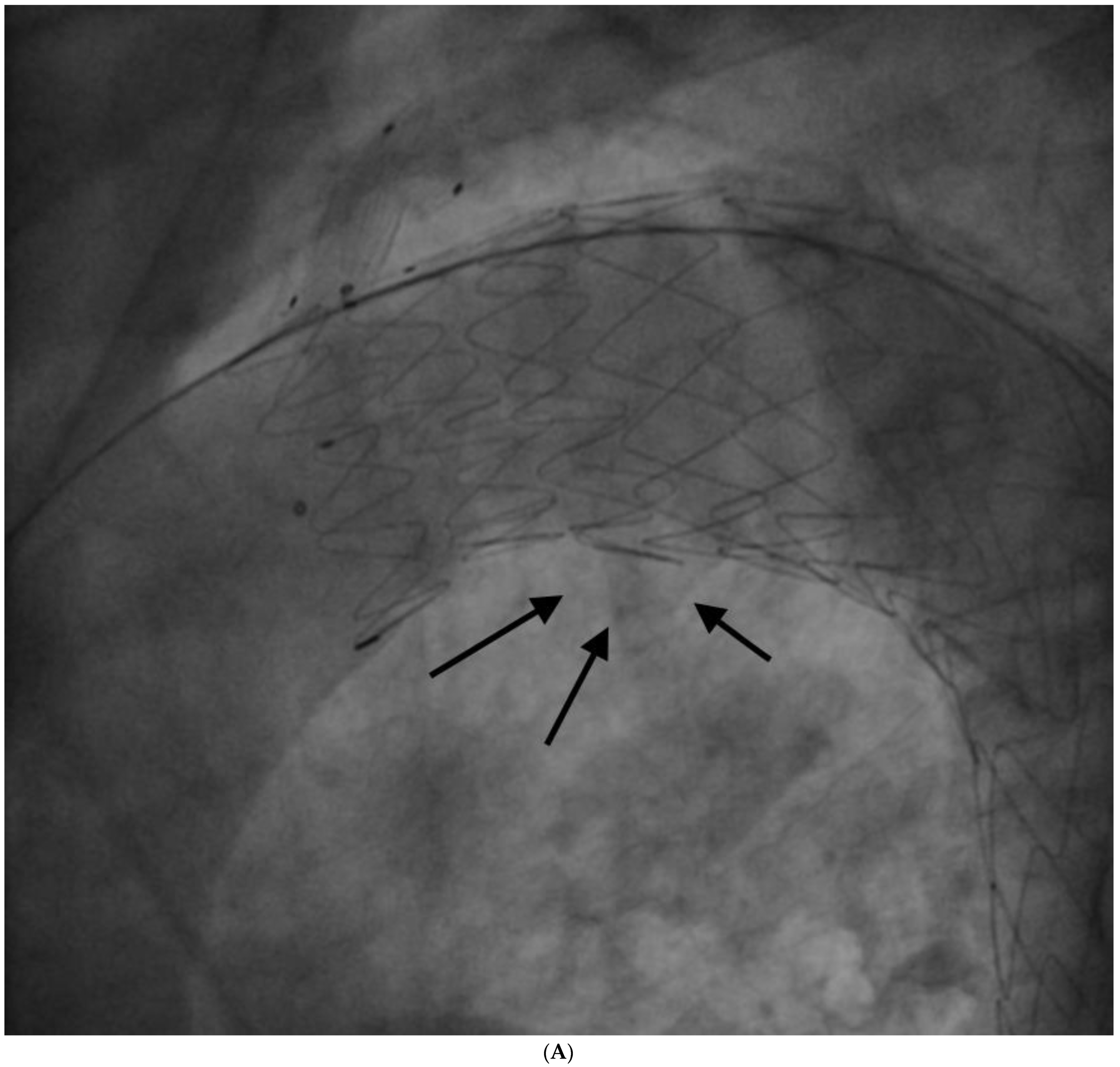 Ijerph 19 04809 g005a 550