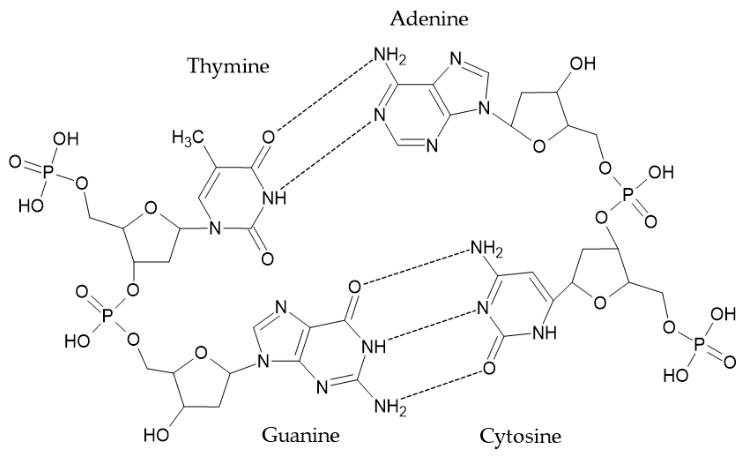 Ijerph 19 04828 g011